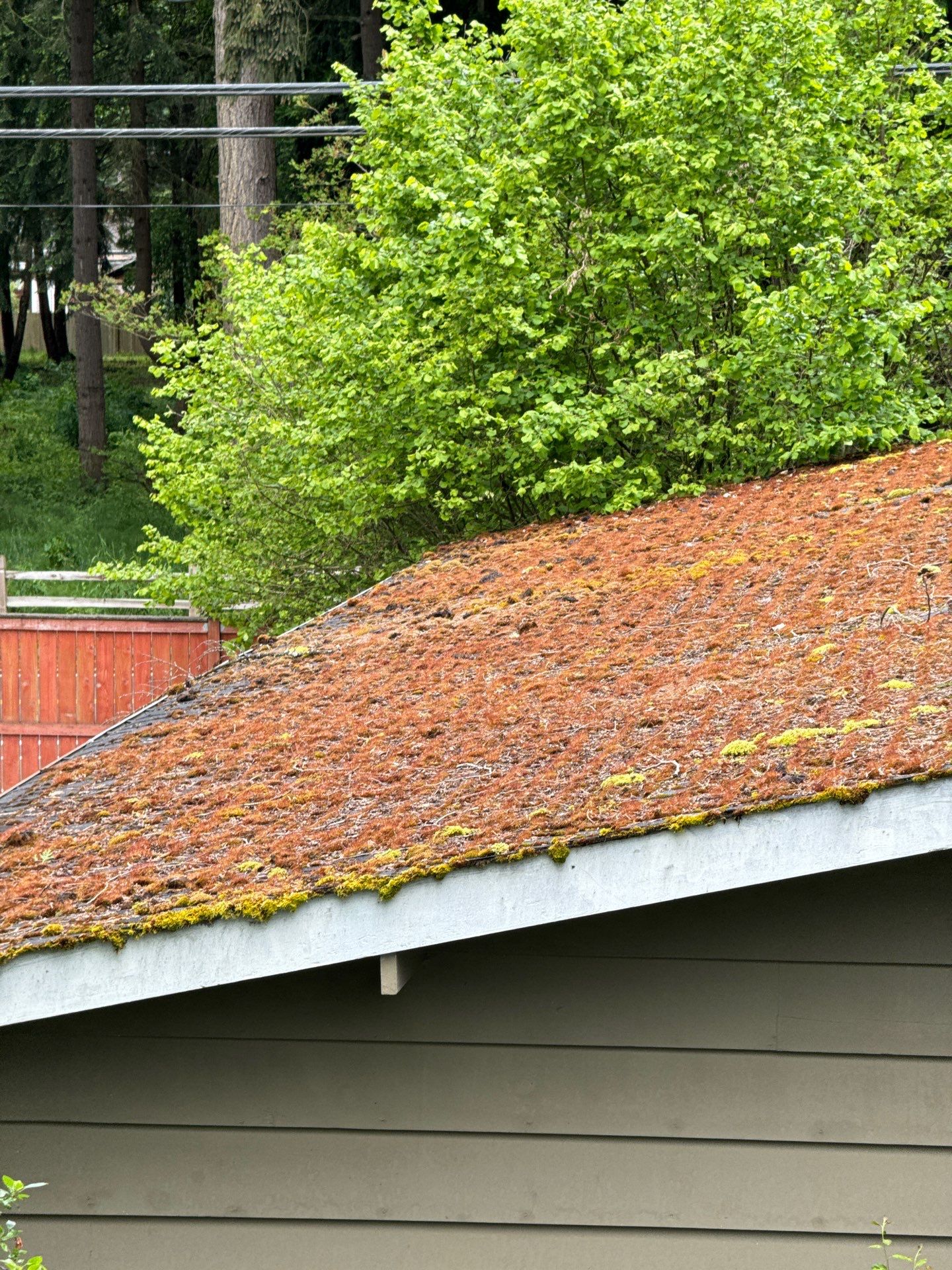 Project in Everett by Connolly Construction Company