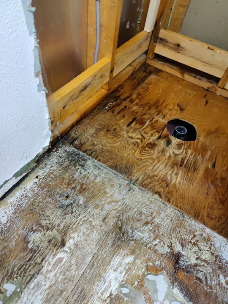 Mold Remediation  by Accountable Home Services