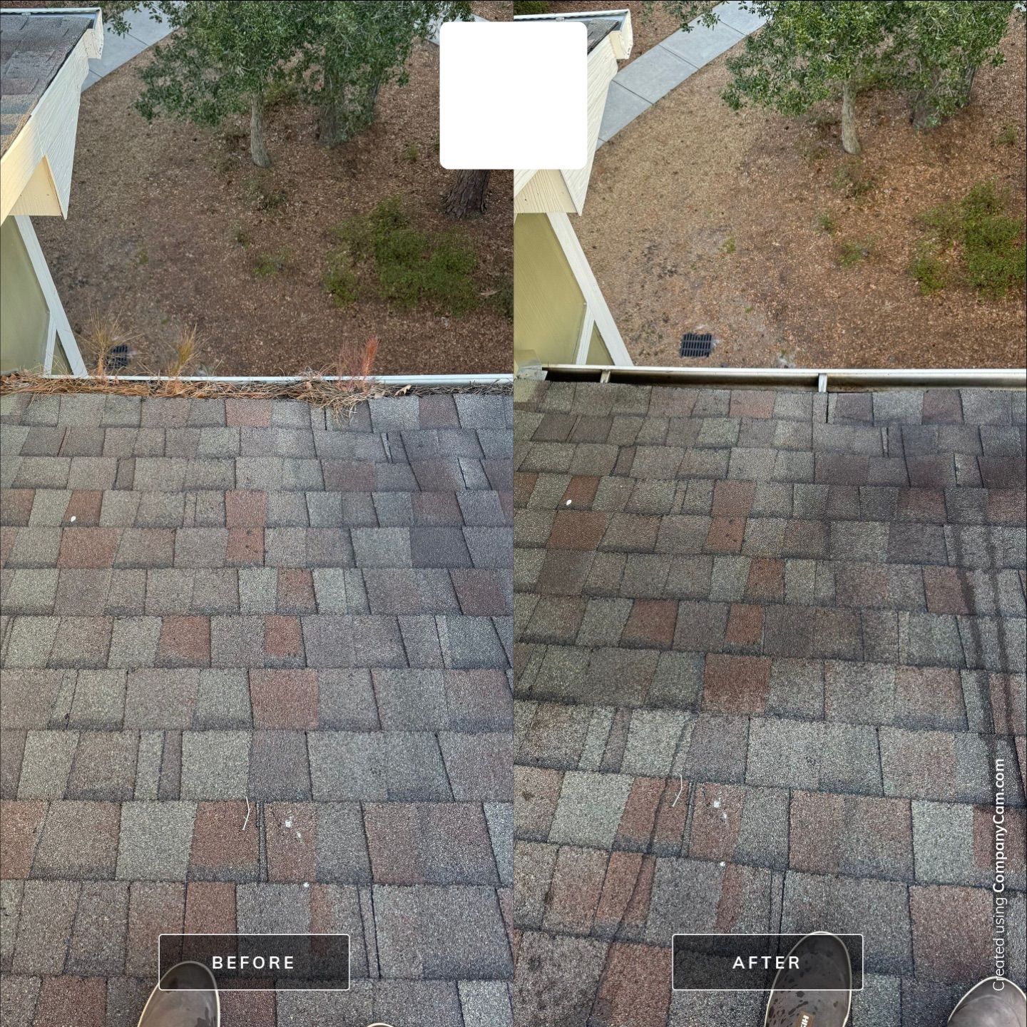 Apartment Gutter Cleaning by Shark Power Washing