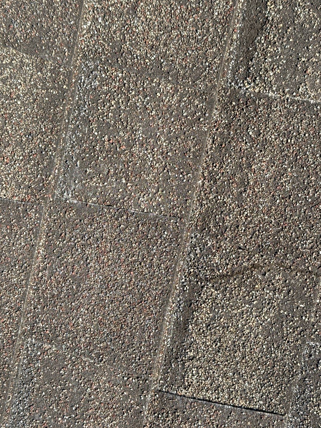 Campbell Storm Damage Report by Constructive Project Management