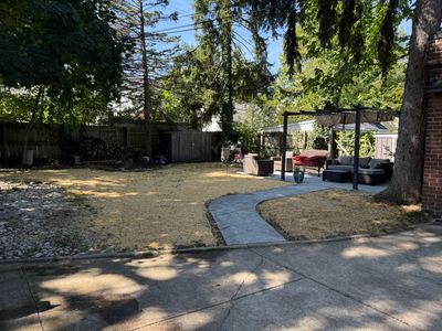 Shade Lawn Repair