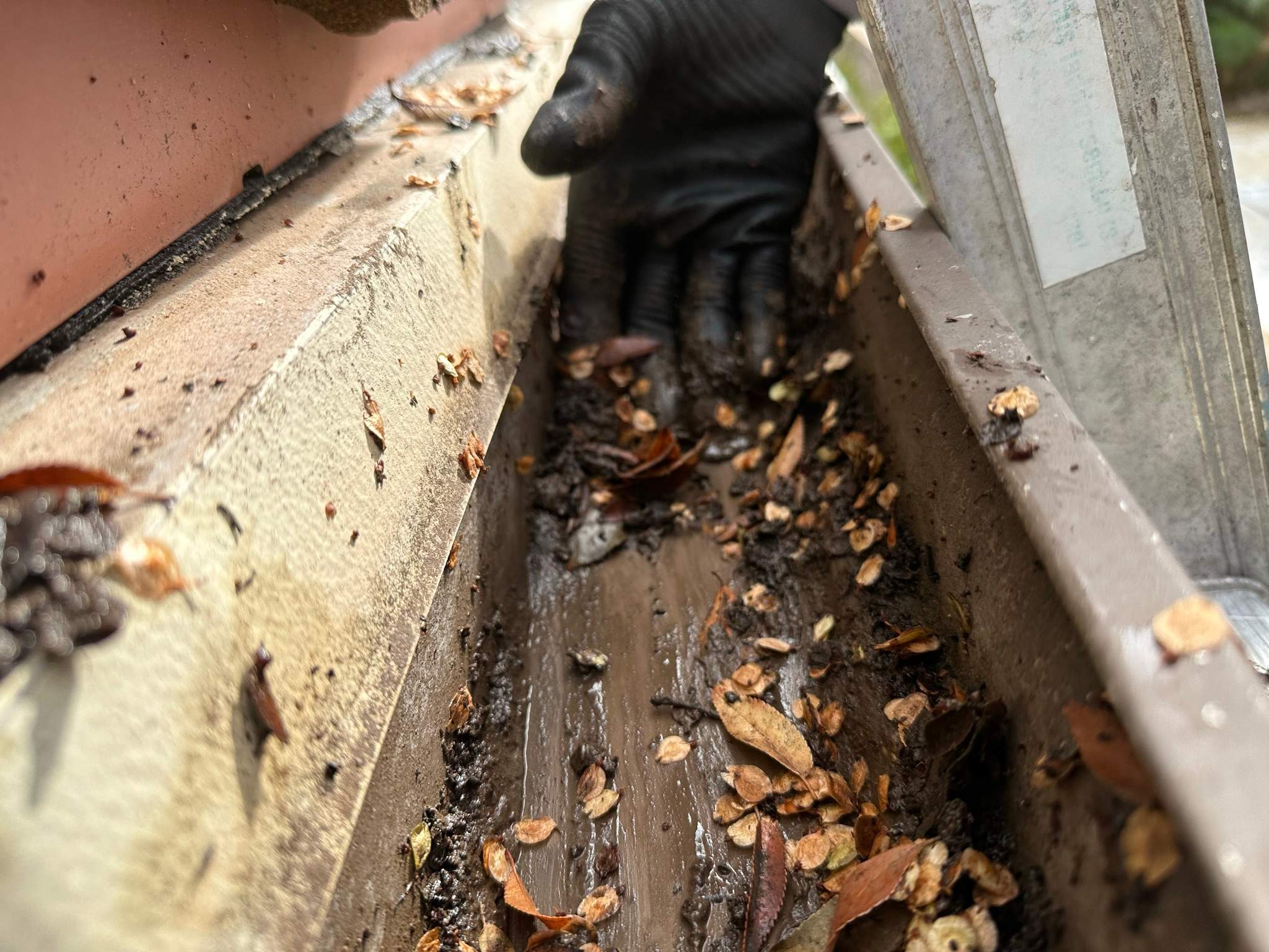 Clogged gutters at this Irvine home in Woodbury by Property Cleaning Experts, LLC