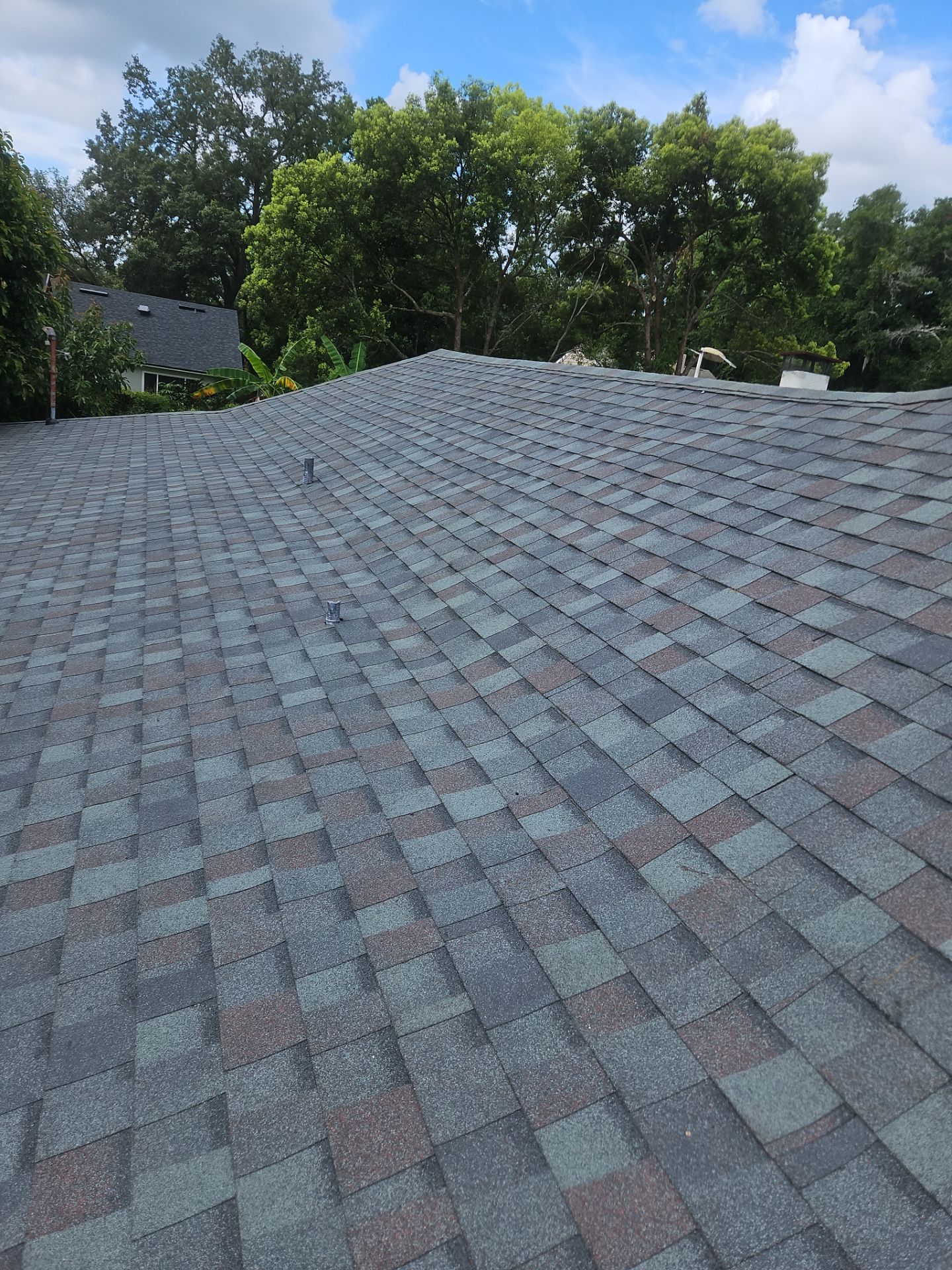 Shingle Reroof Replacement Altamonte Springs FL by Pinnacle Roofing Group