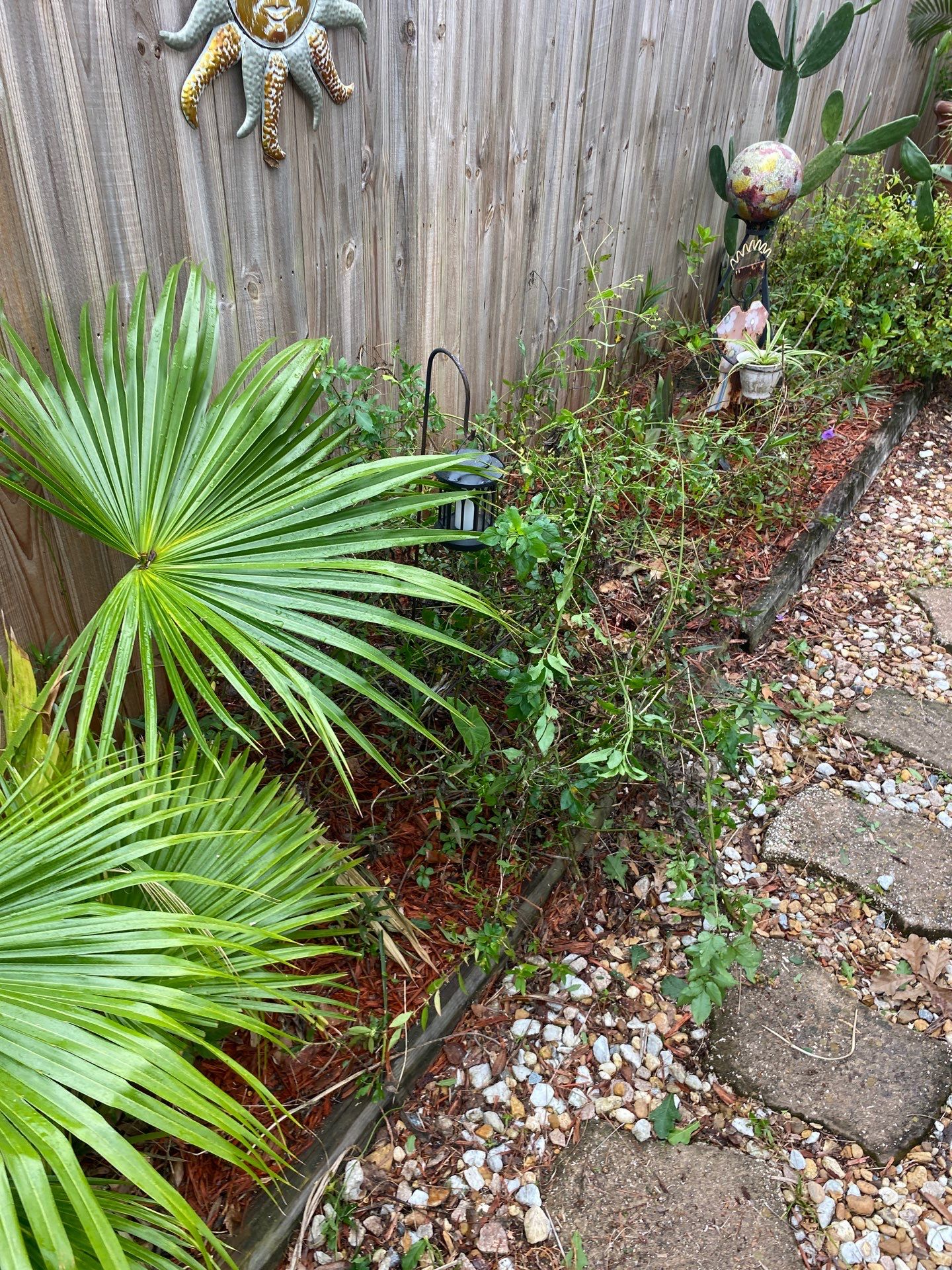 Tree Trimming | Residential by ProGreen Services