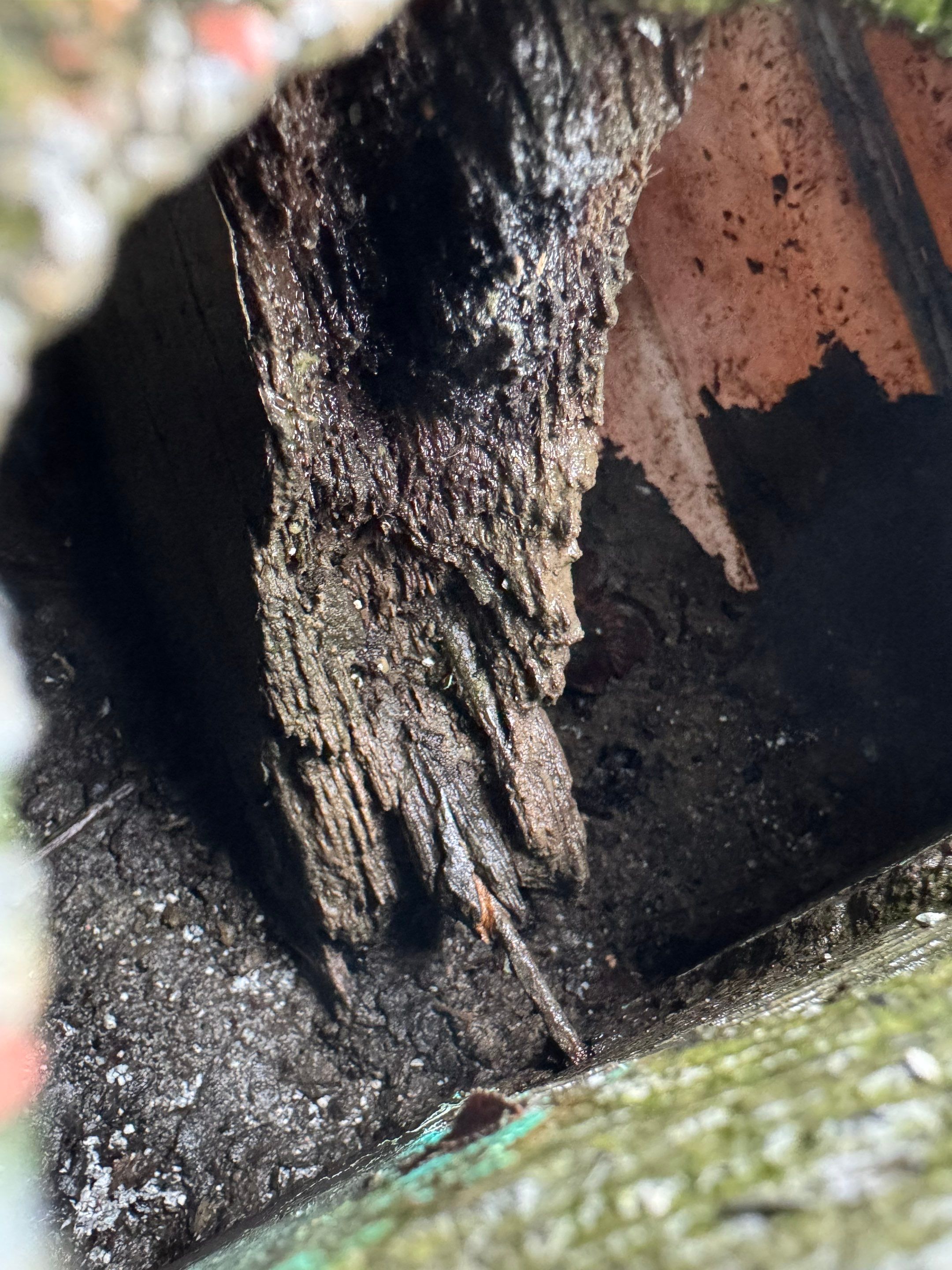 Project in West Sacramento by NuLead Construction Inc