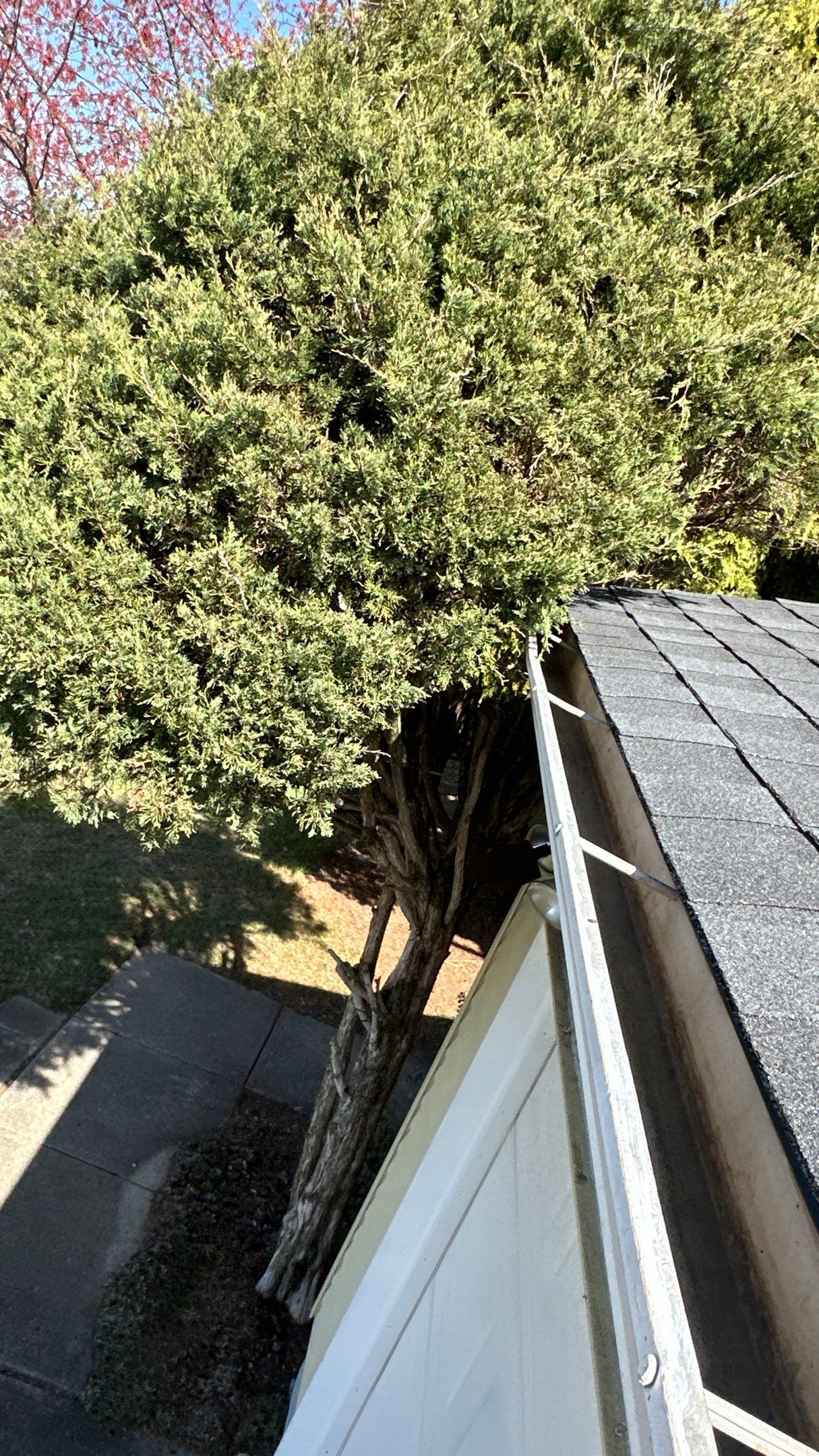 Black Shadow & Rubber by Tamlin Roofing