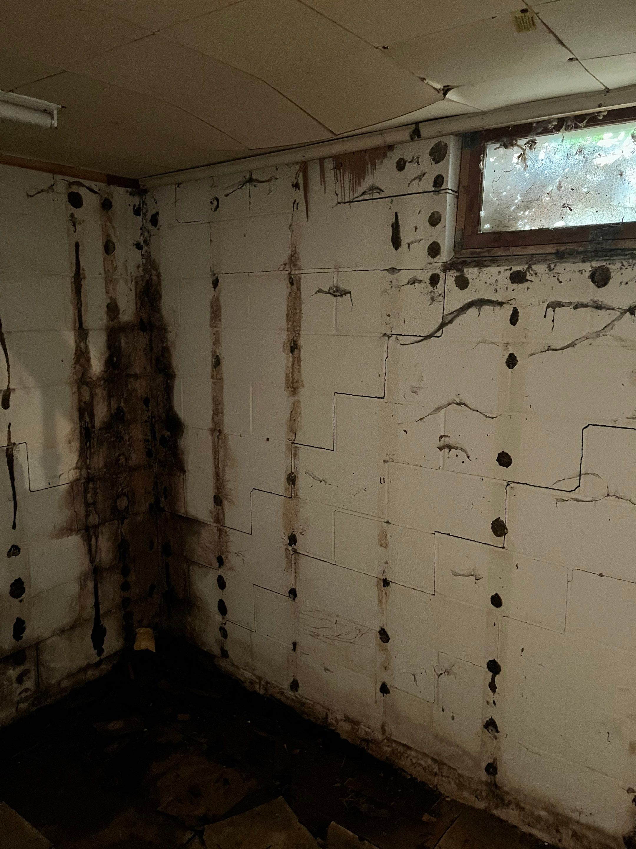 Waterproofing/Wall Bracing by ACE Waterproofing & Basement Solutions