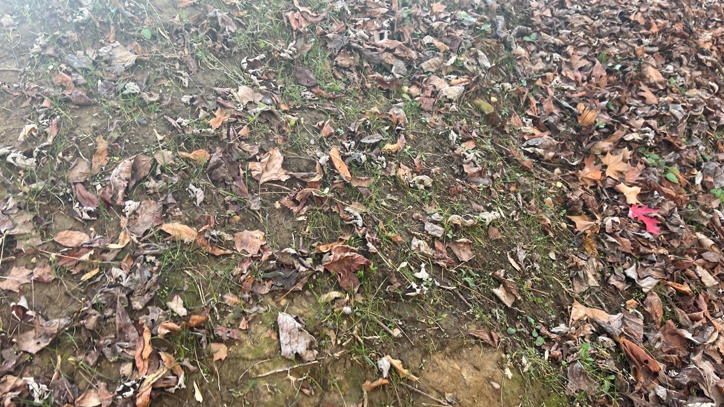 Gain unused yard space by GrassBusters, Inc.
