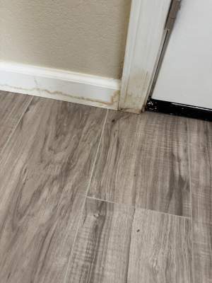 Project in Mesa