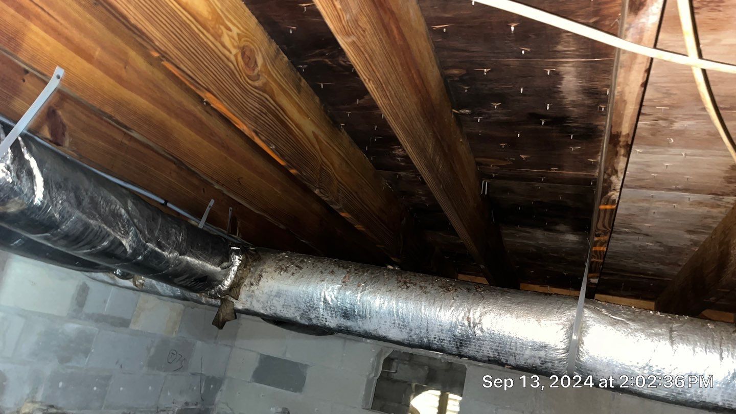 Limited Mold Remediation by EAS Environmental, LLC.