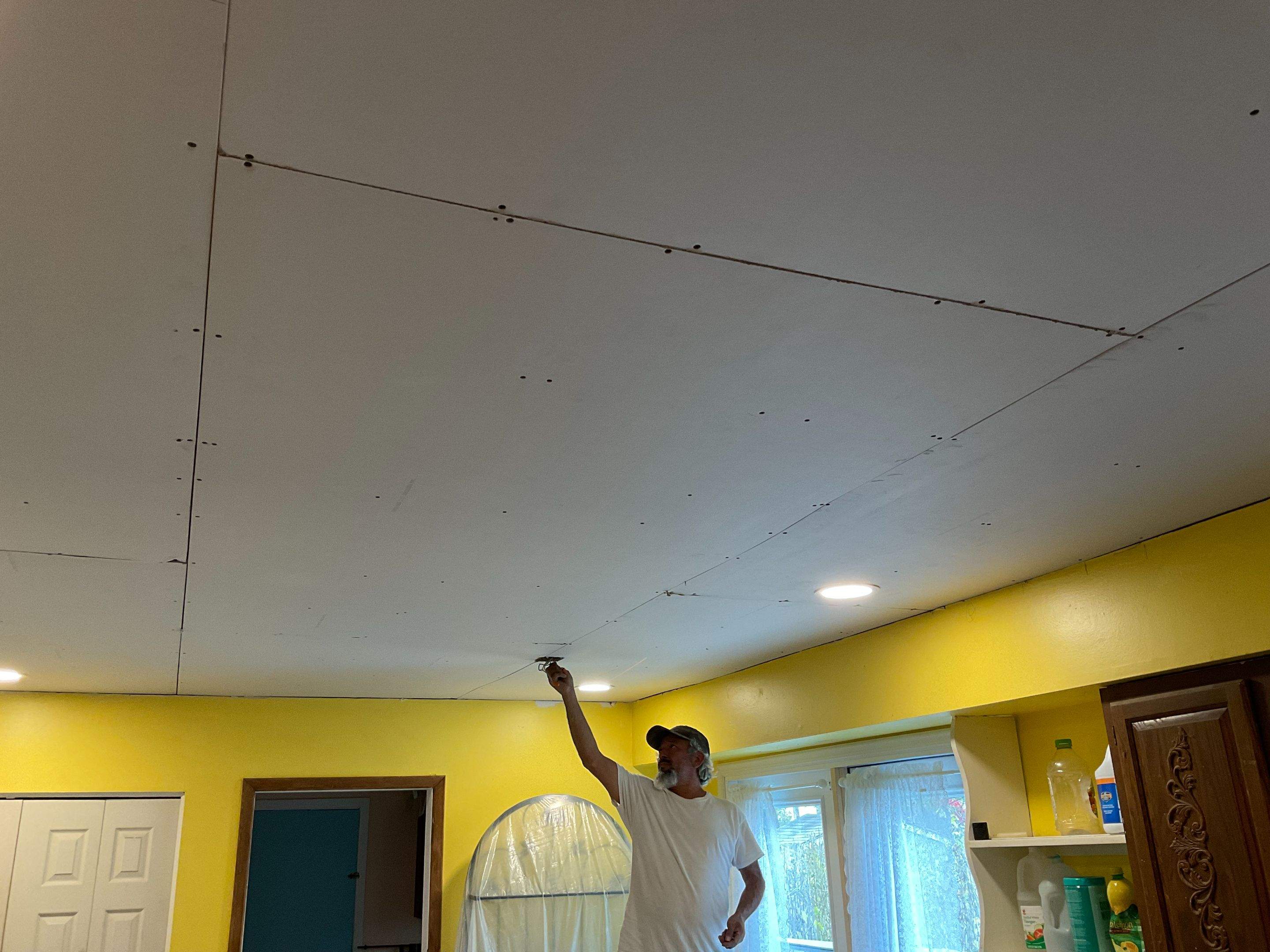Ceiling Repair by Alpha Design Services