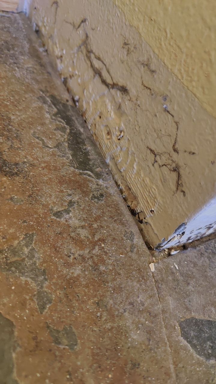 Water Damage  by Accountable Home Services