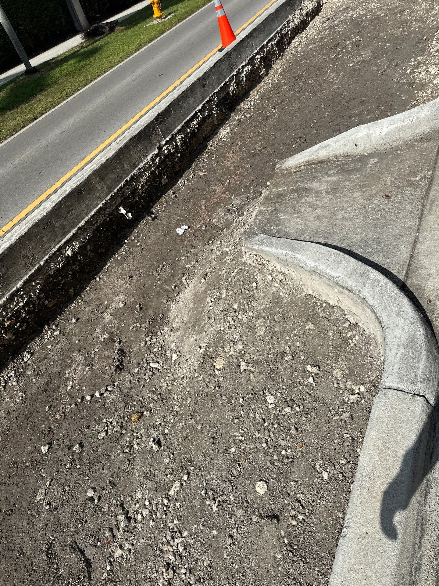 Pinecrest Median - New Native Landscape by Nature's Dream by Nature's Dream Landscape and Tree Service