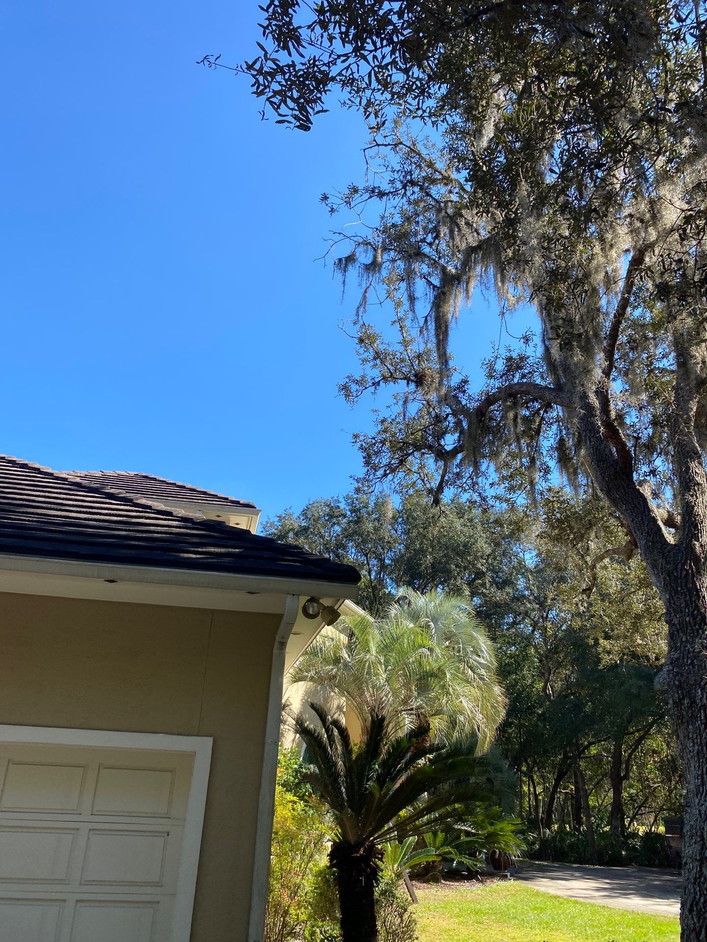 Deerwood Residence | Tree Work by ProGreen Services