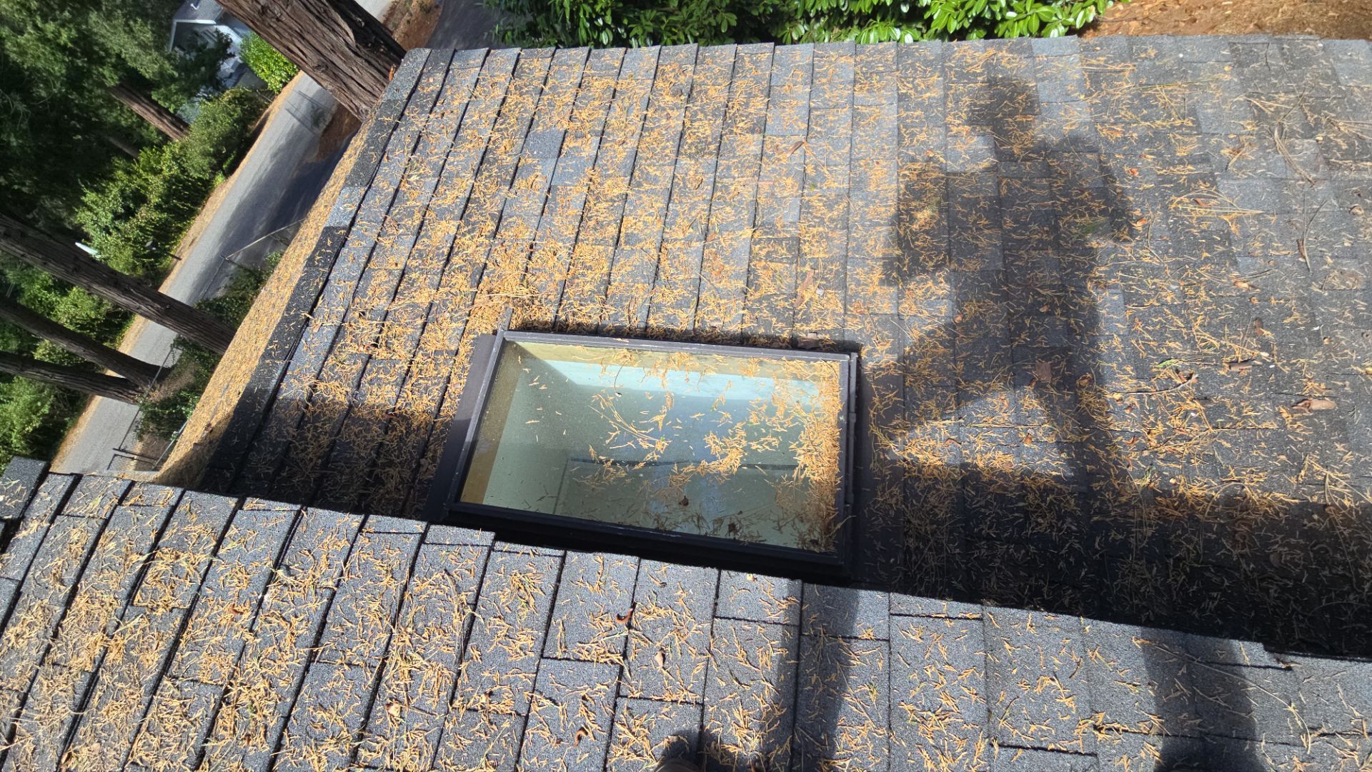 Roof Rejuvenation using Roof Maxx Treatment by Roof Maxx of Folsom