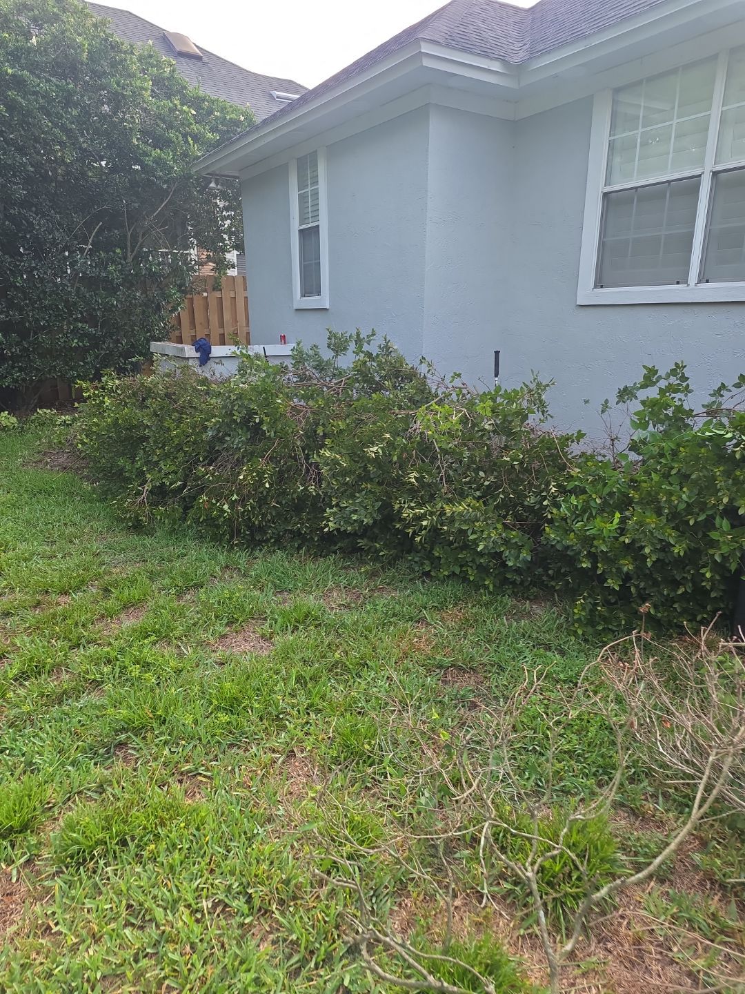 Deerwood Resident | Tree Trimming by ProGreen Services