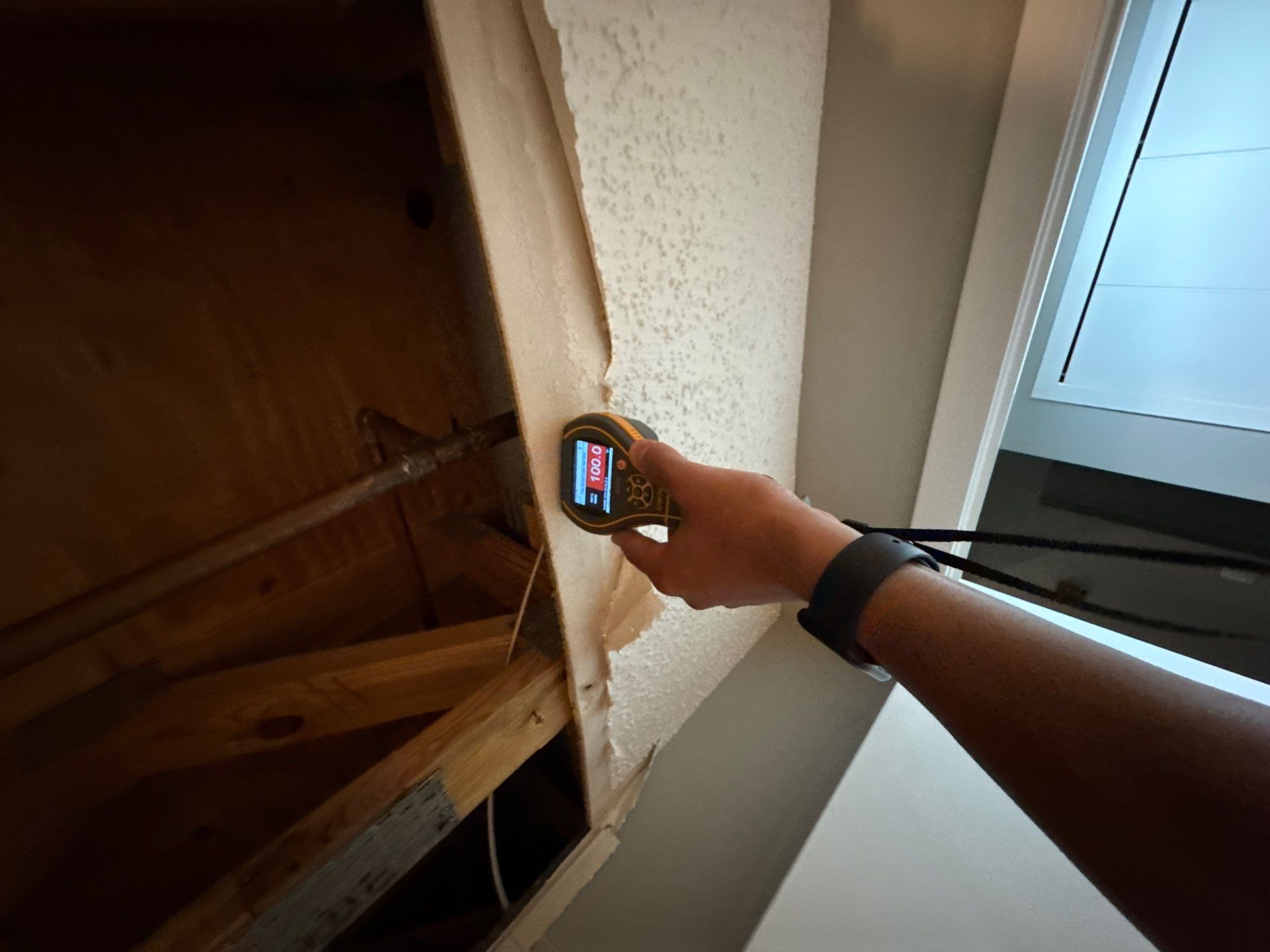 Project in Novi by EzDry Water Mitigation & Property Restoration