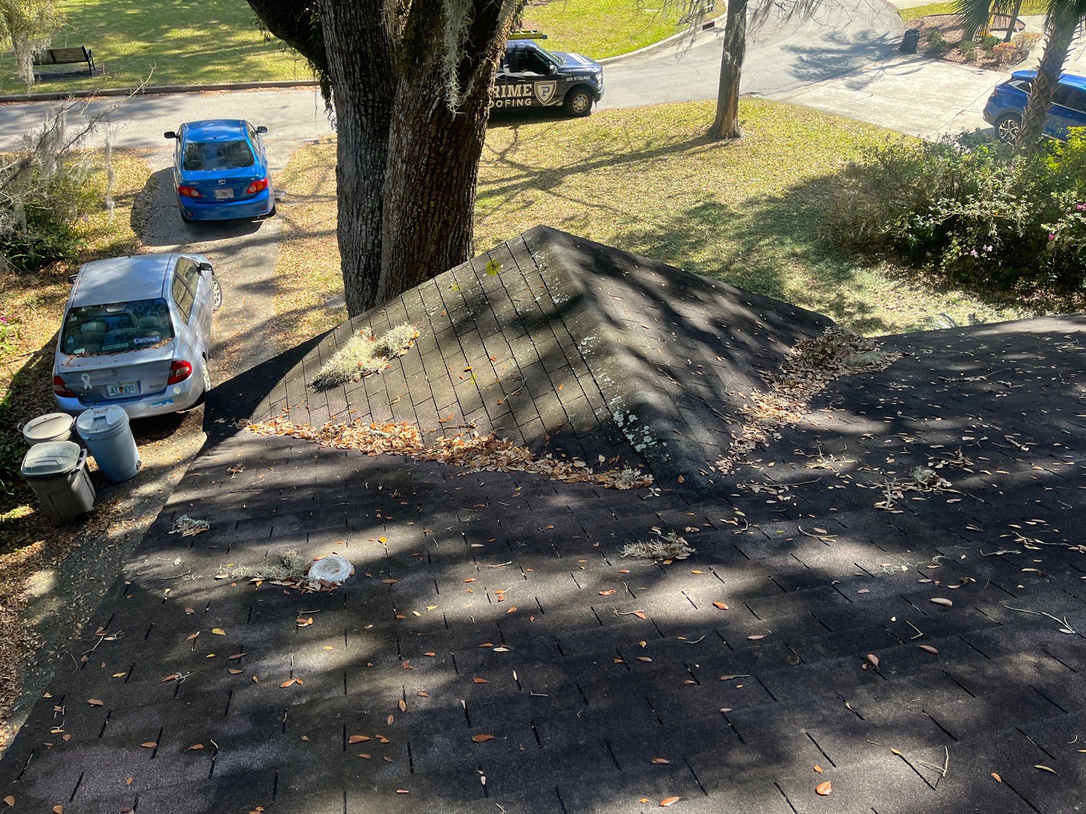 Shingle -> Shingle by Prime Roofing