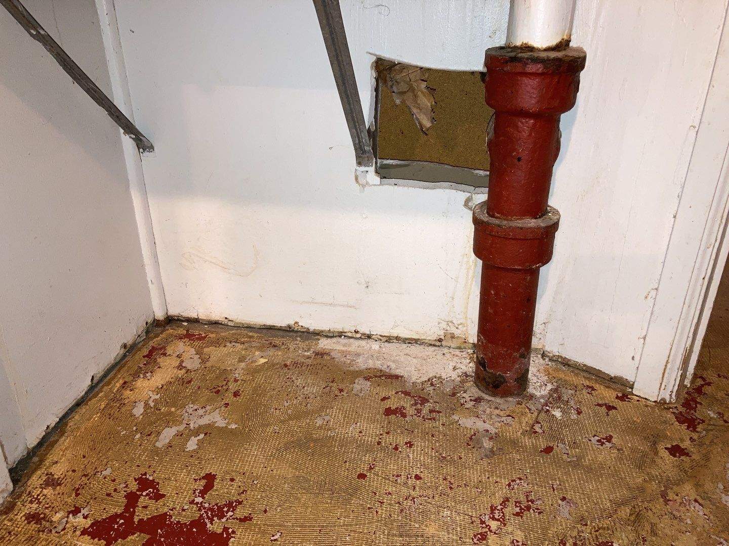 Mold Remediation in Basement by Accountable Home Services