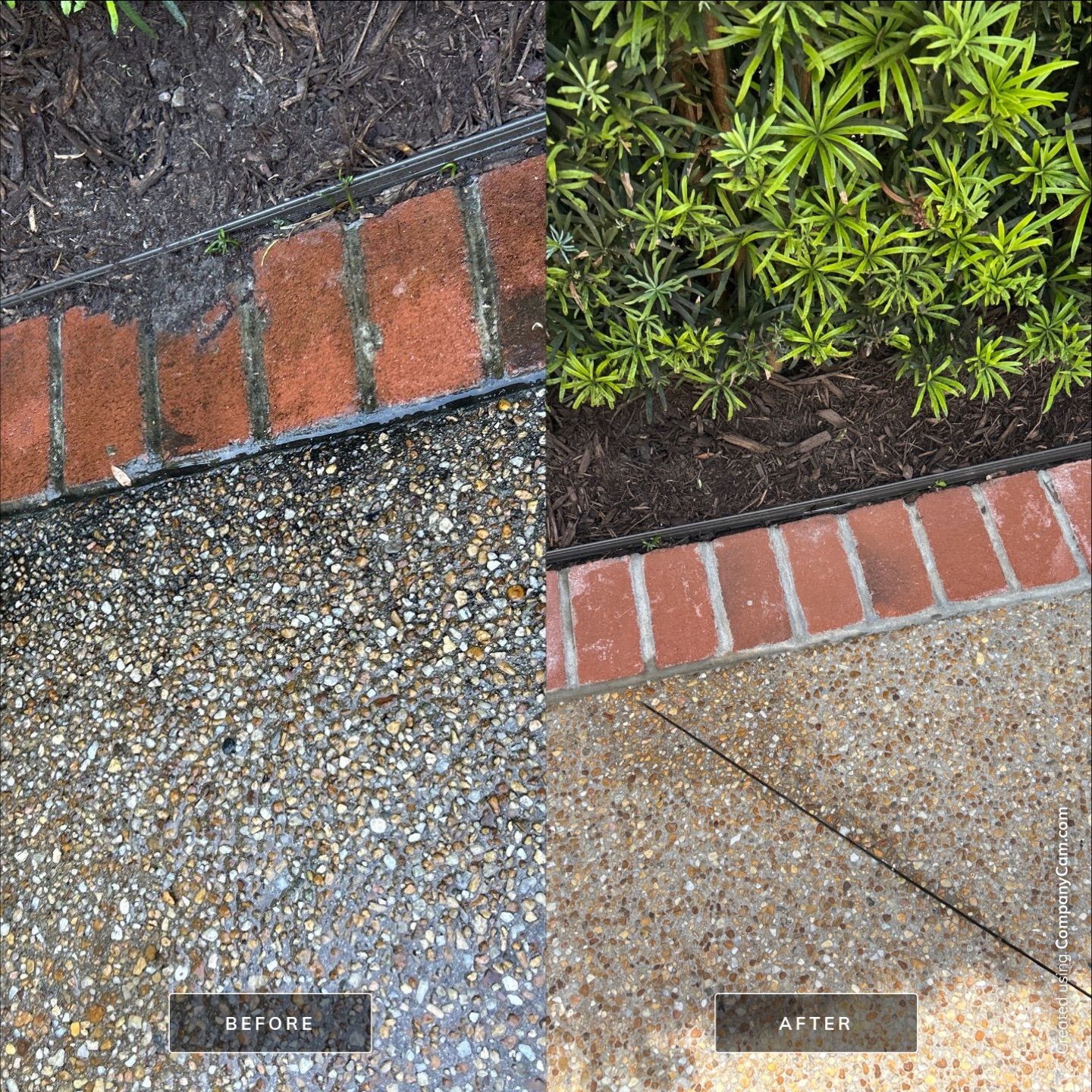 House Washing in Wilmington by Shark Power Washing