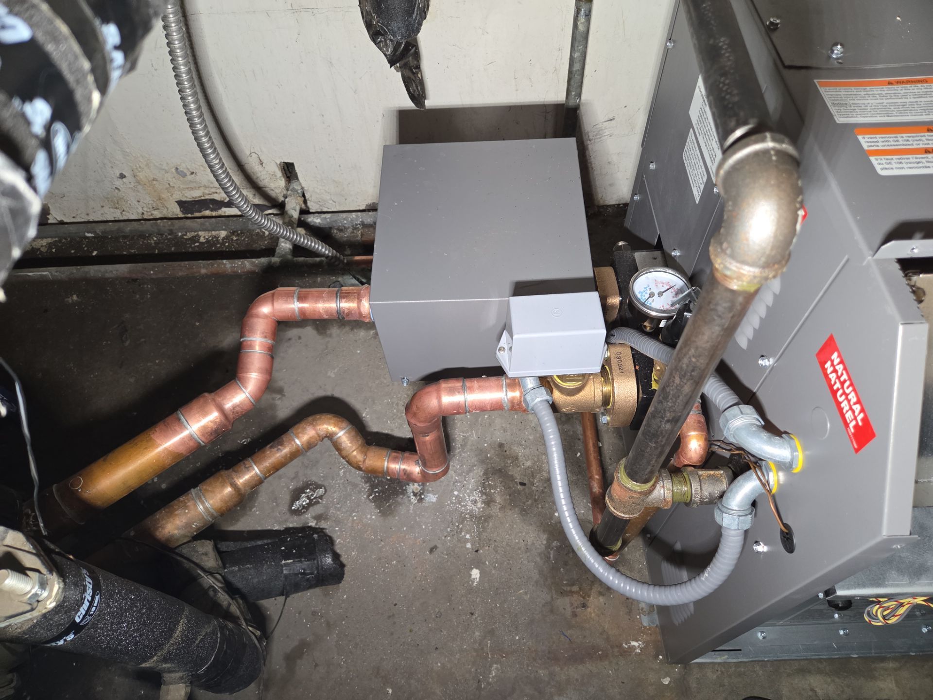 Filter installation for Boiler by Professional Plumbing Inc 