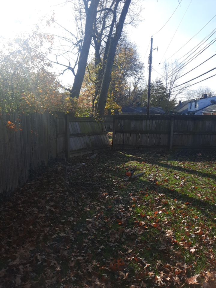 Tree Removal using Tree Removal by Mike Jones & Sons Tree Service LLC 