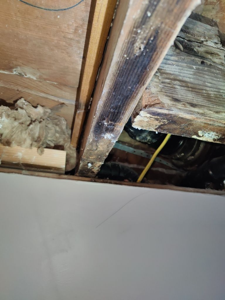 Water Damage Project in Denver by Accountable Home Services
