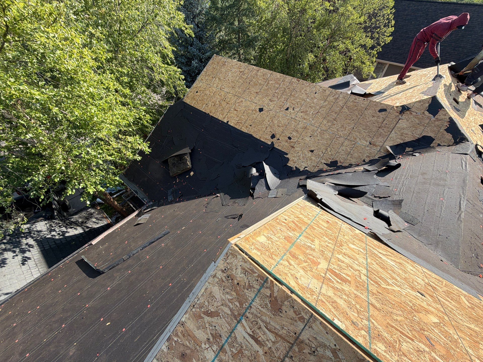 Residential Roof Replacement with Architectural Shingles in Boise by Olive Roofing