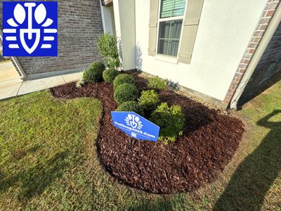 LANDSCAPE SERVICES: DEMO / BED PREP / CUT IN BED EDGES / MULCH INSTALL using BROWN MULCH "BARK BRITE"