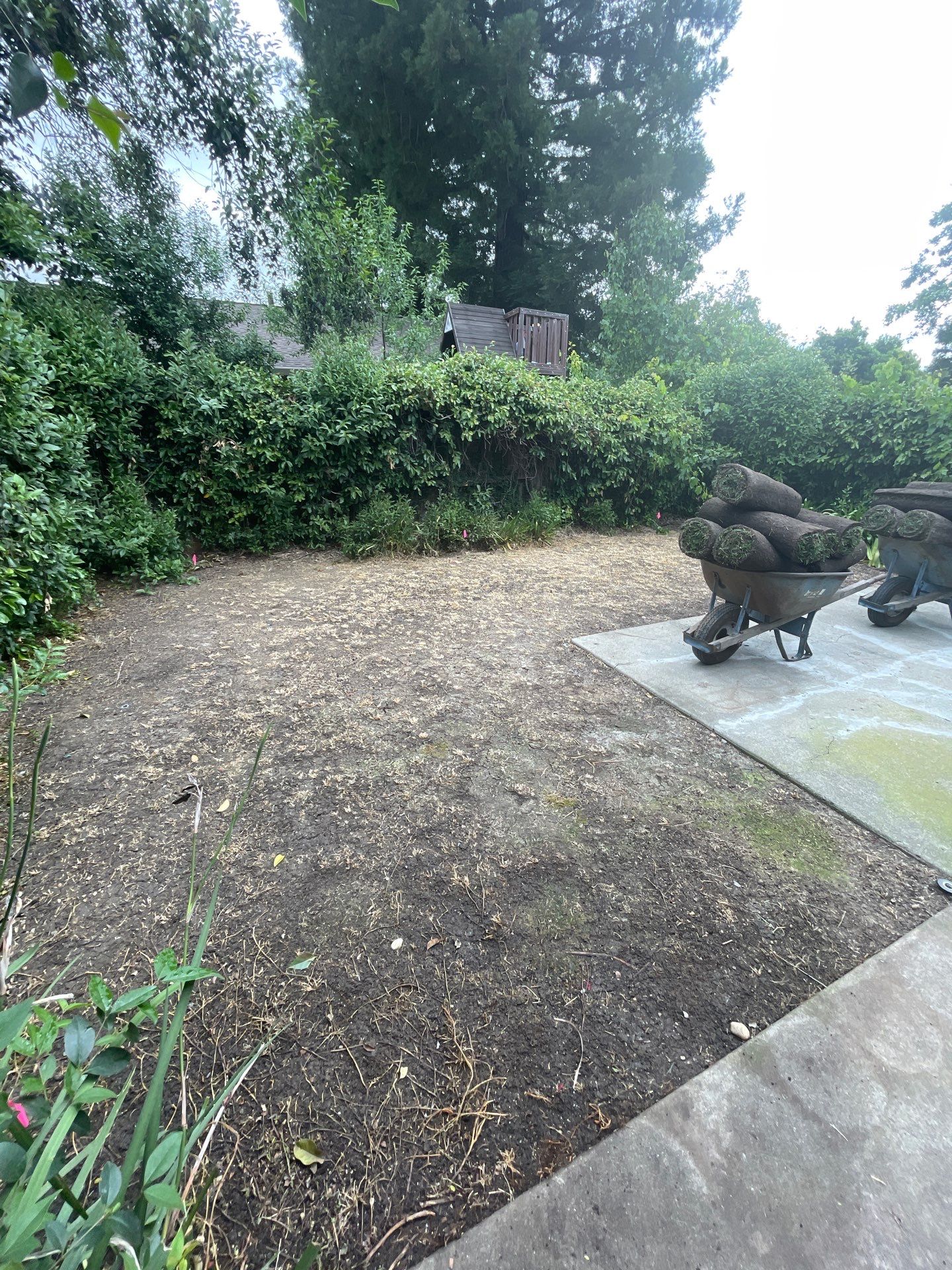 Project in Davis by A - G Sod Farms