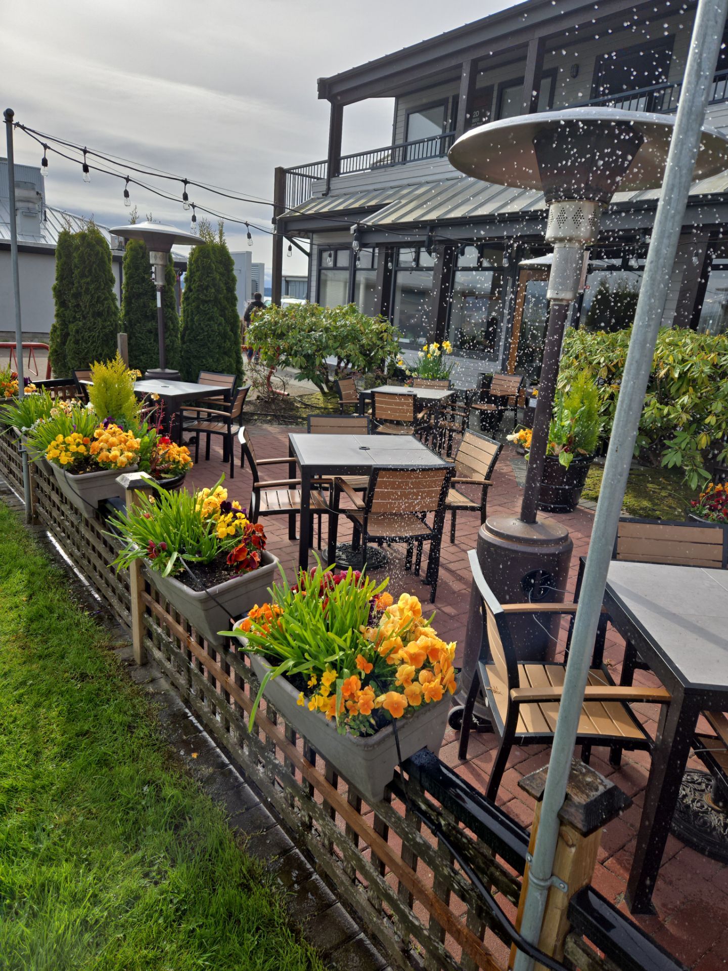 Sidney Pier by Habanero Garden and Exterior Care