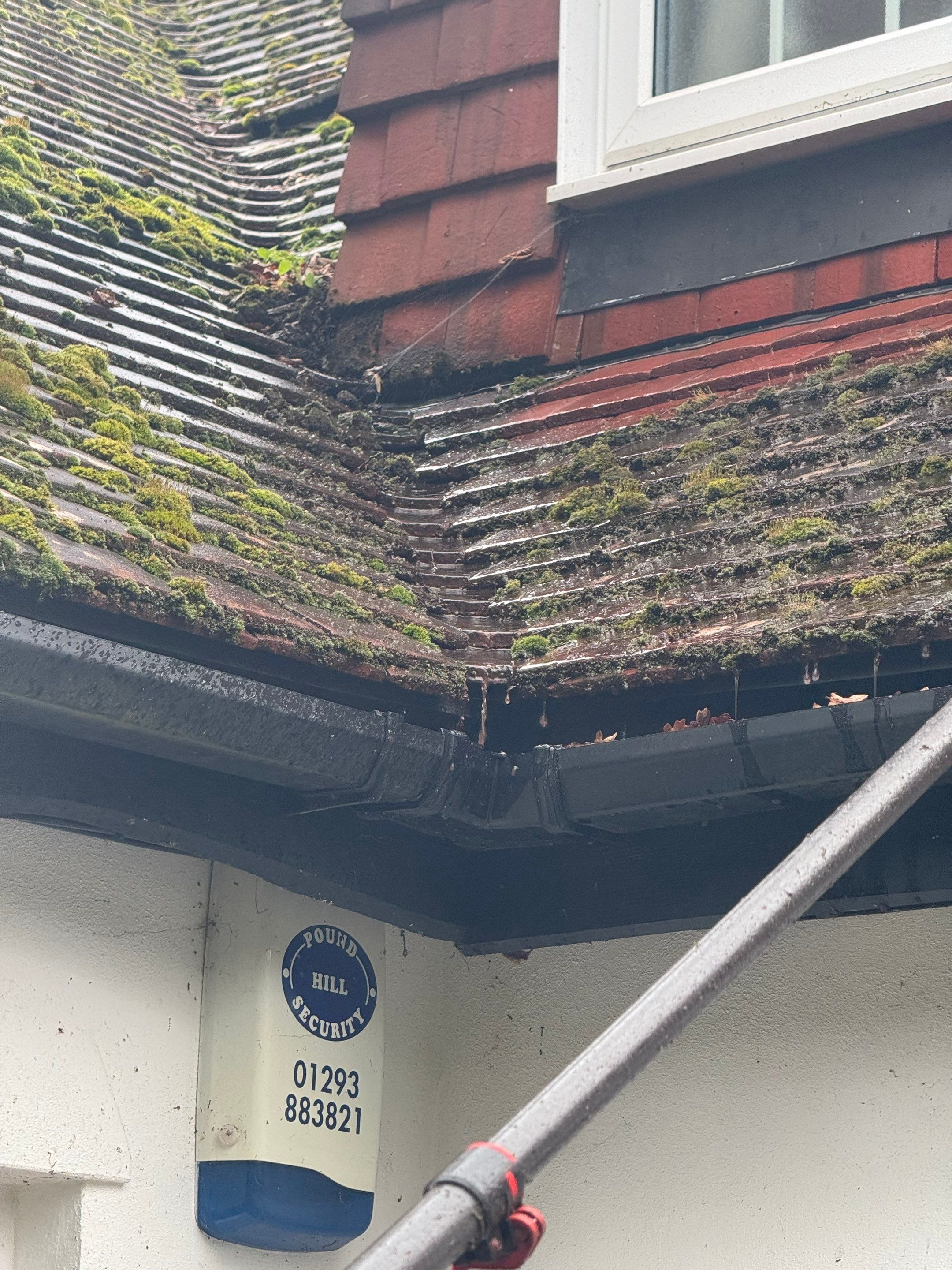 Roof and Patio Cleaning using Honda 15lpm Low Pressure Washing Machine by Ges Exterior Cleaning ltd