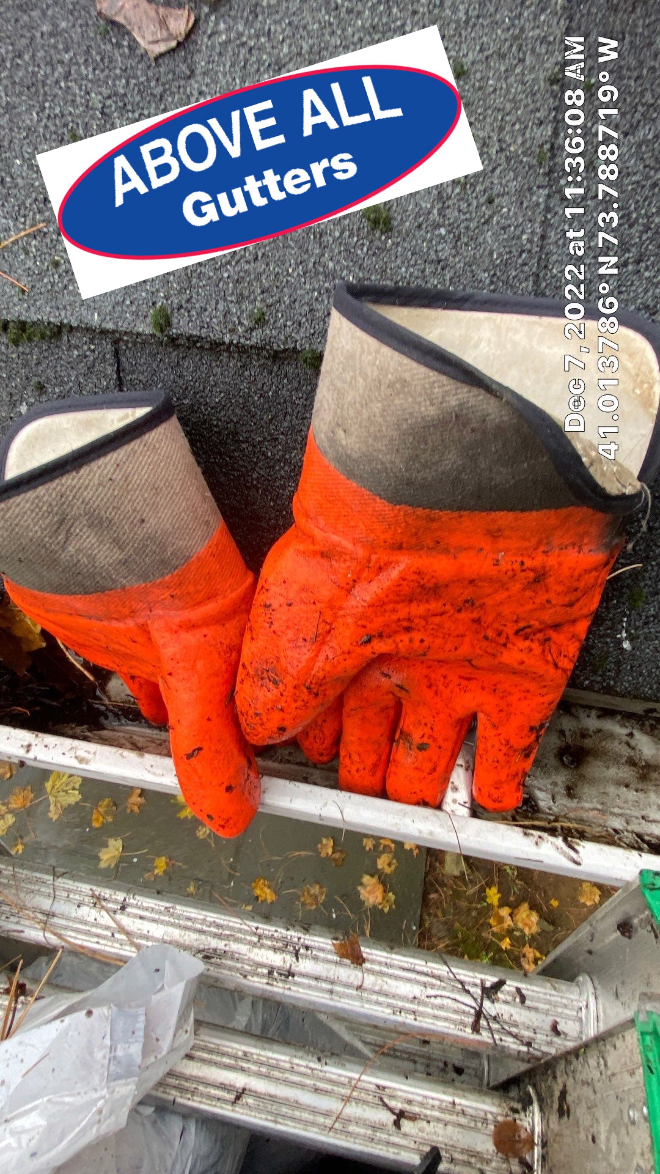 Gutter Cleaning Scarsdale Westchester  by Above All Gutters 