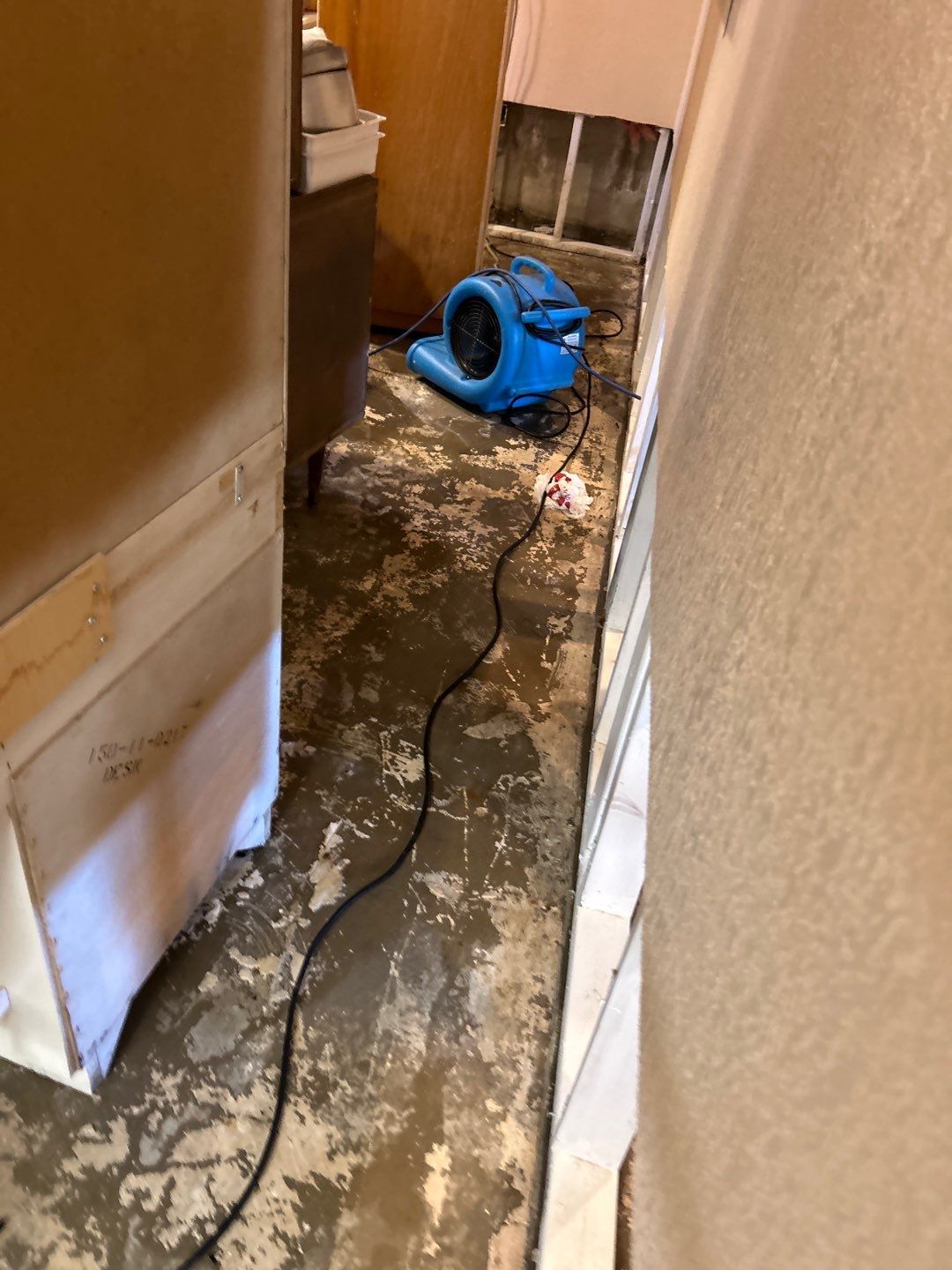 Water Damage Project in Conifer by Accountable Home Services