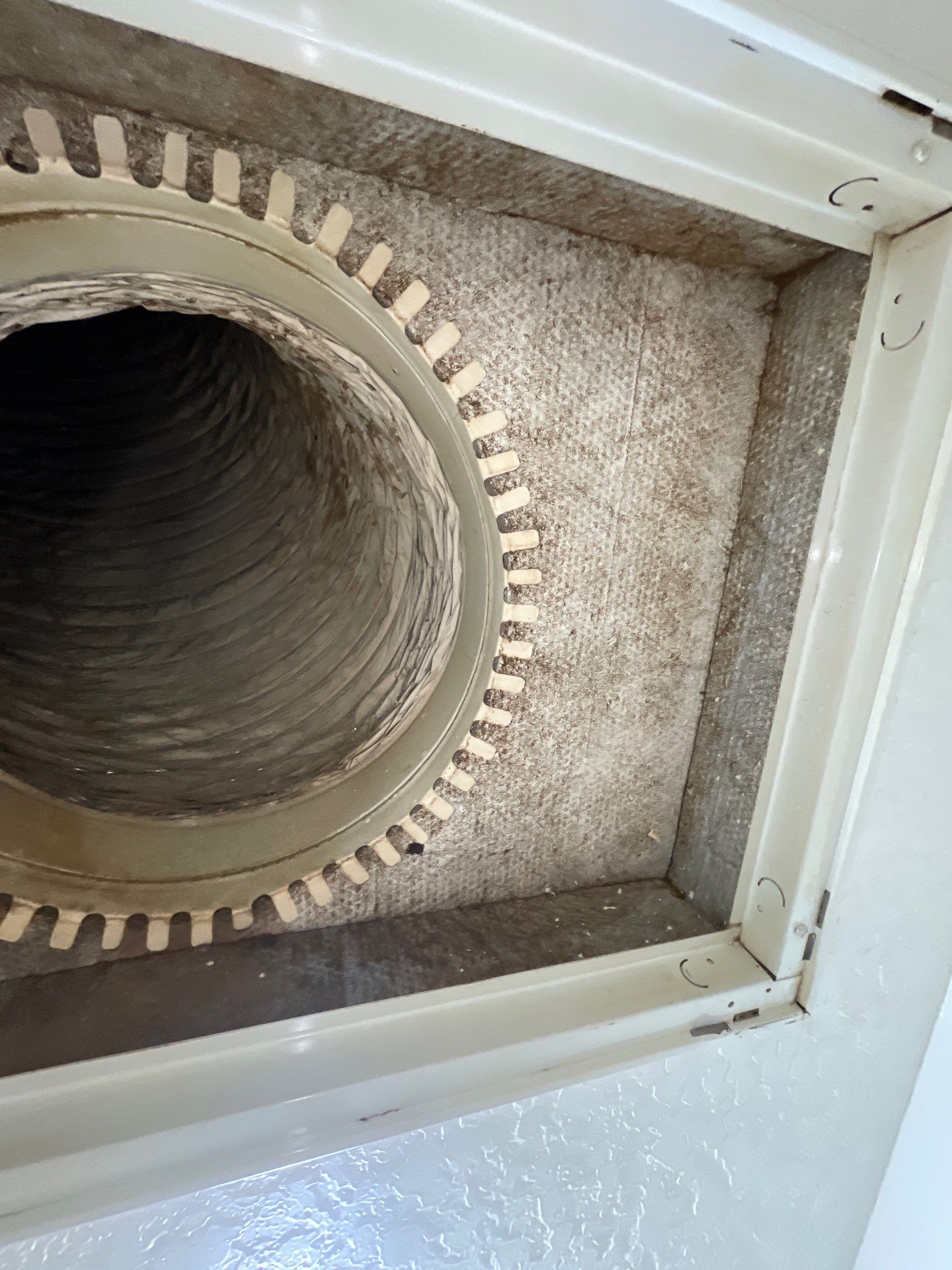 Air Duct and Dryer Vent Cleaning in Clermont by Hygienic Air, Inc