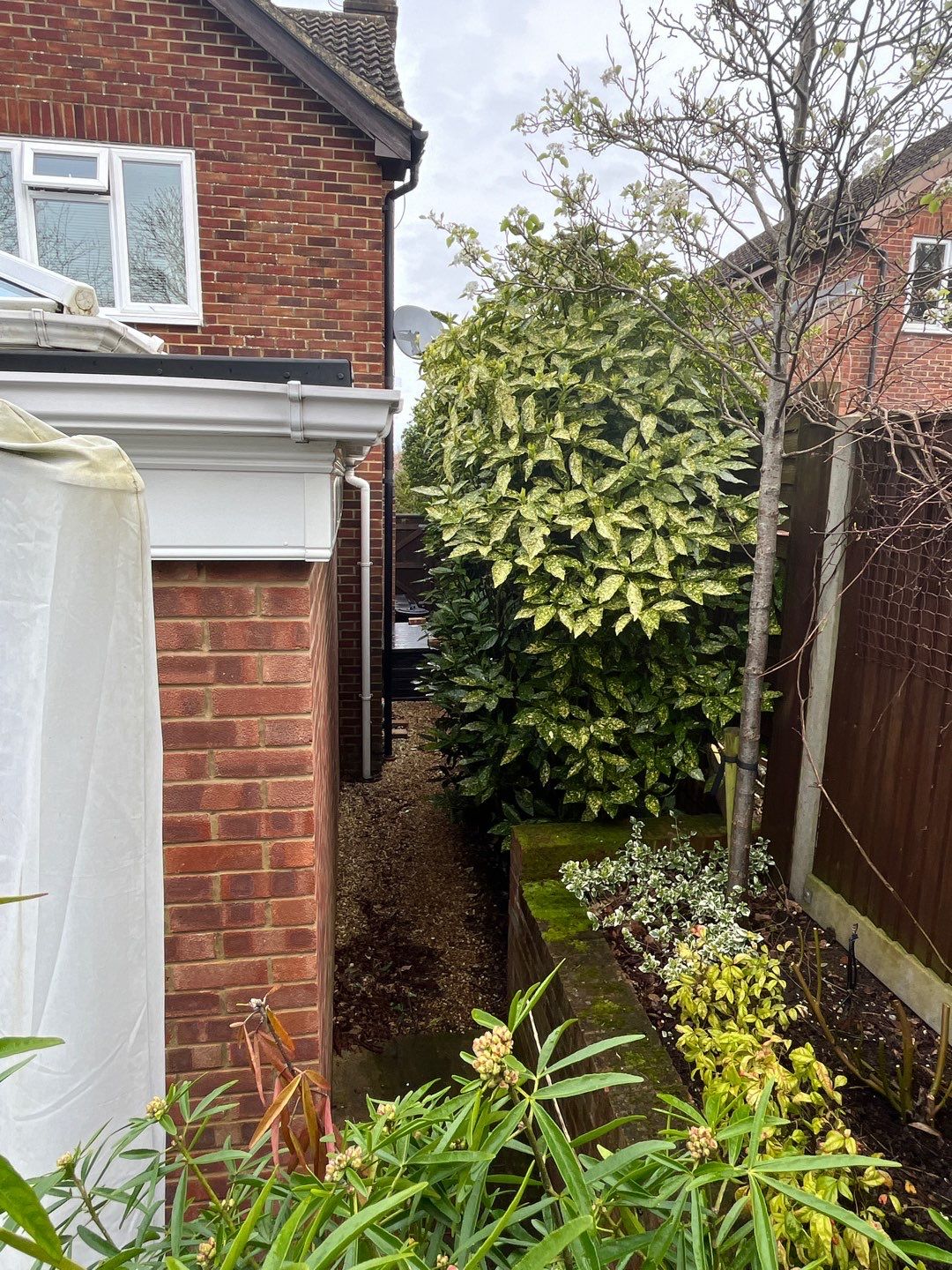 Roof Clean - Biocide Treatment using Honda 15lpm Low Pressure Washing Machine by Ges Exterior Cleaning ltd