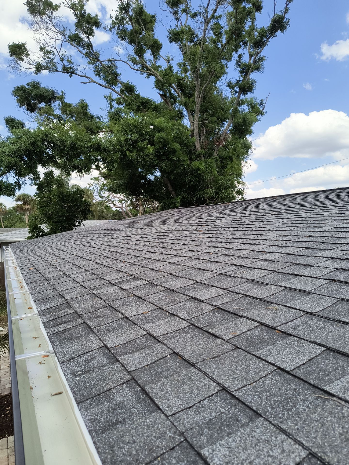 Black Seamless Gutters using 7 inch seamless gutters & New White Soffit in Sarasota FL by Gutter Professors