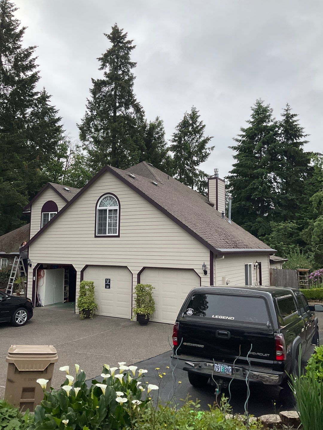 Moss Treatment using Biocide by Willamette Outdoor Wash LLC