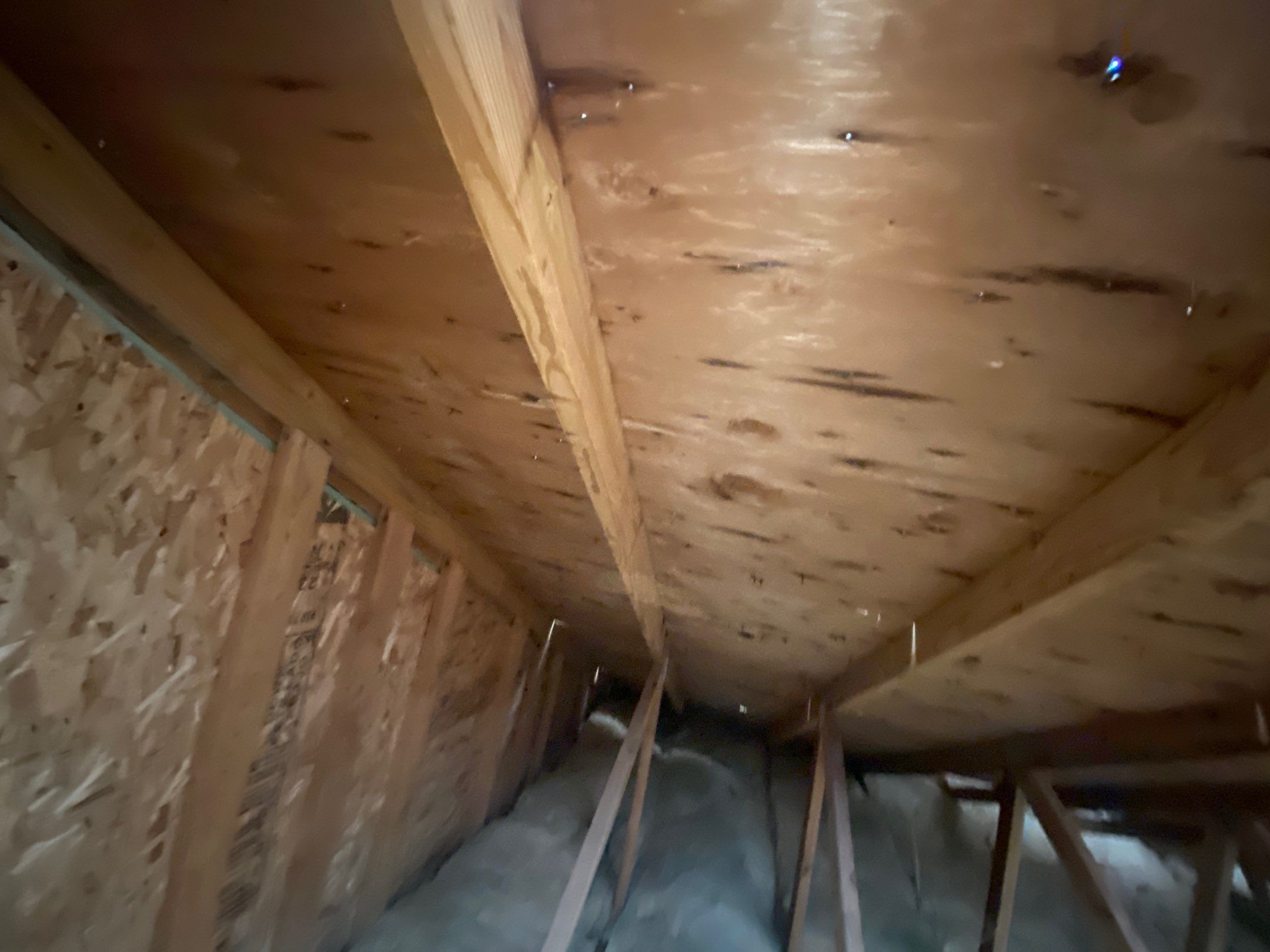 Roof Replacement using CertainTeed Landmark by 180 Contractors