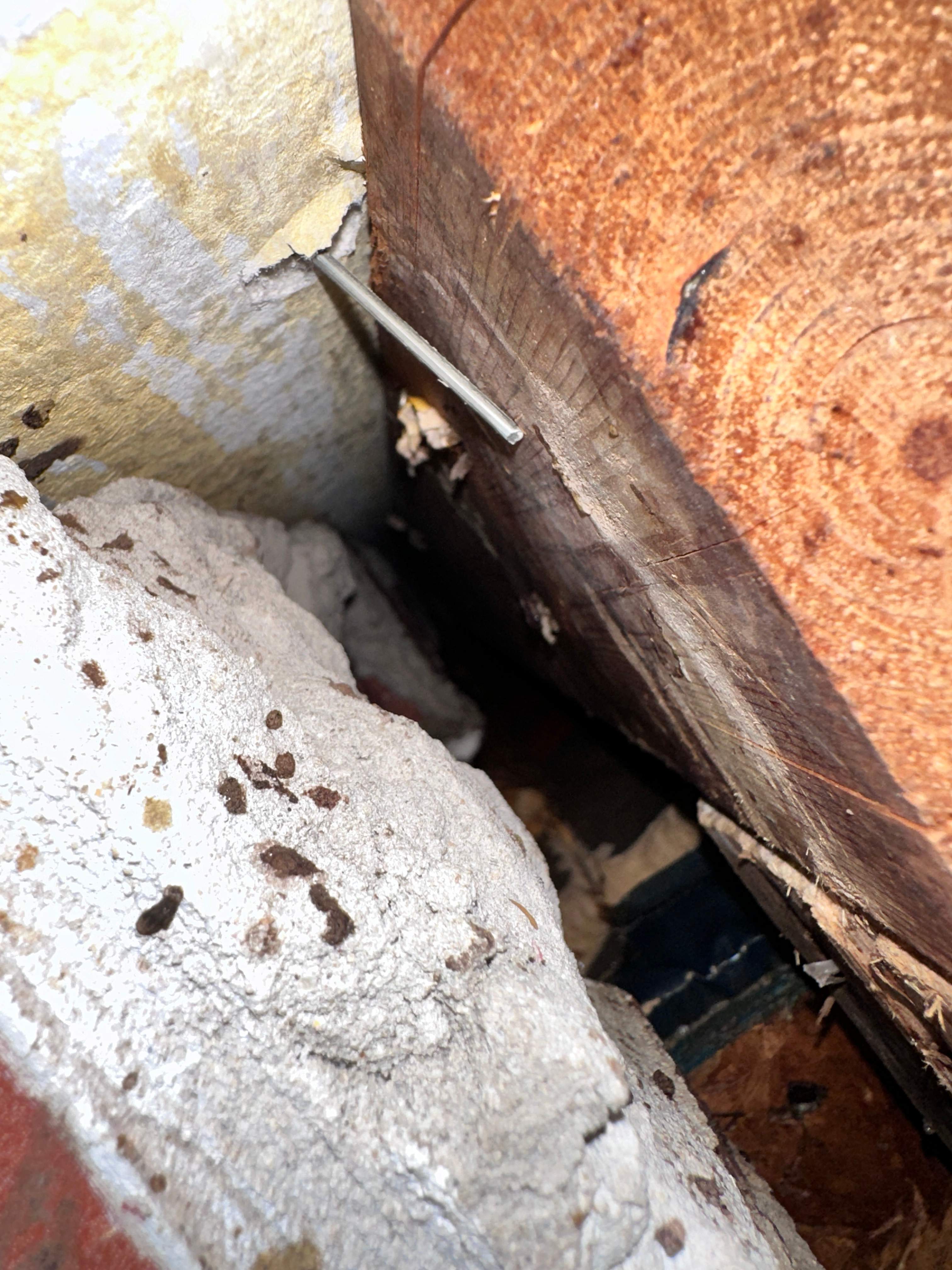 Elevated by Rockwall Honey Bee Company