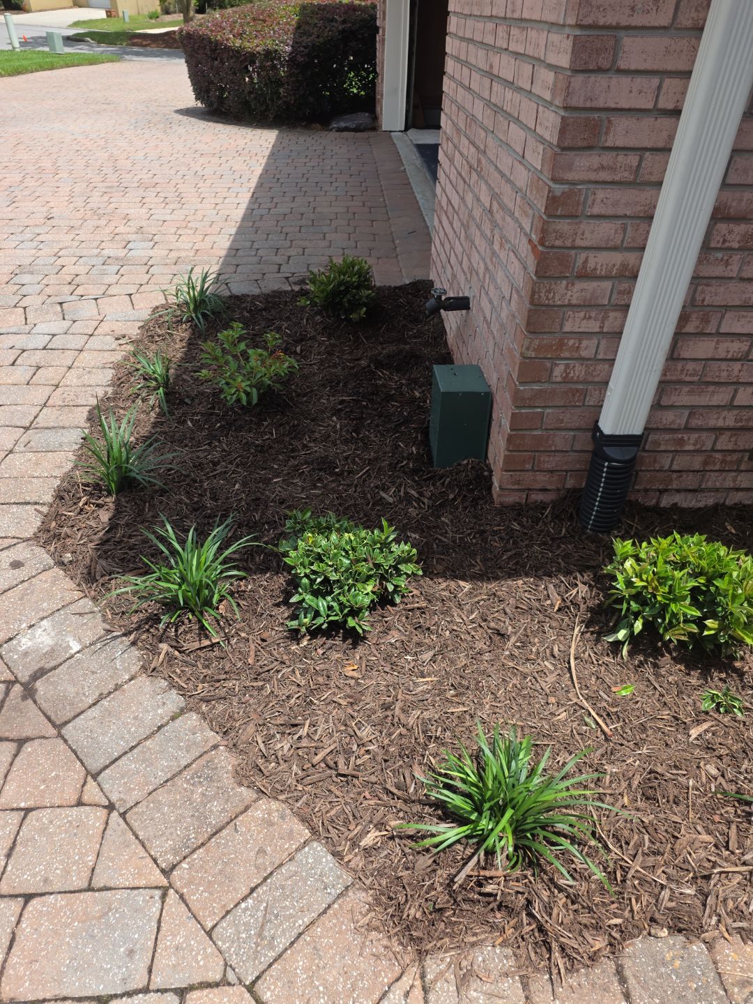 Deerwood Resident | Sod Install & Bed Design by ProGreen Services