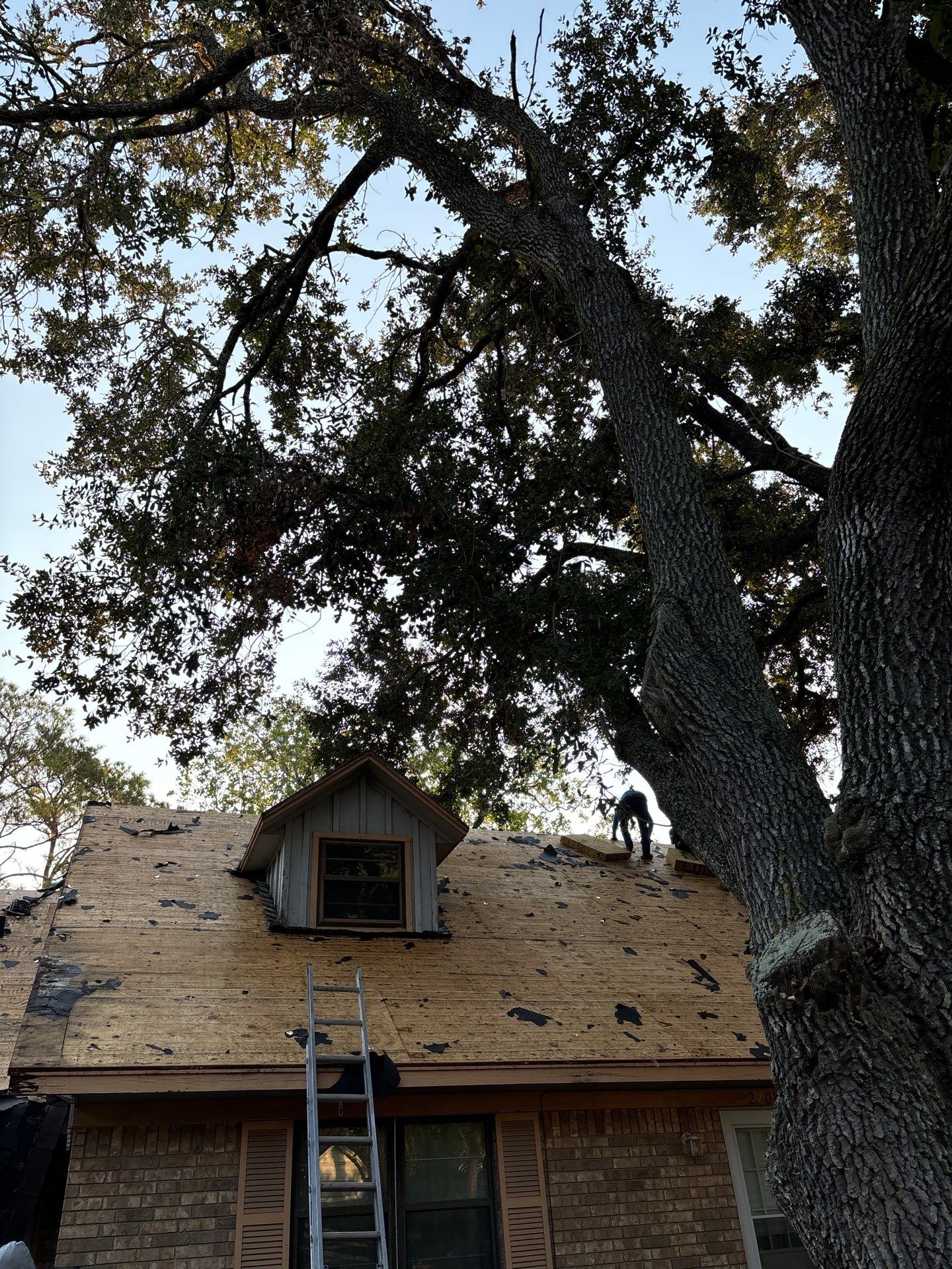 Residential Roofing Repair using Owen's Corning Duration (Lifetime) Shingles by Roof Repair Company