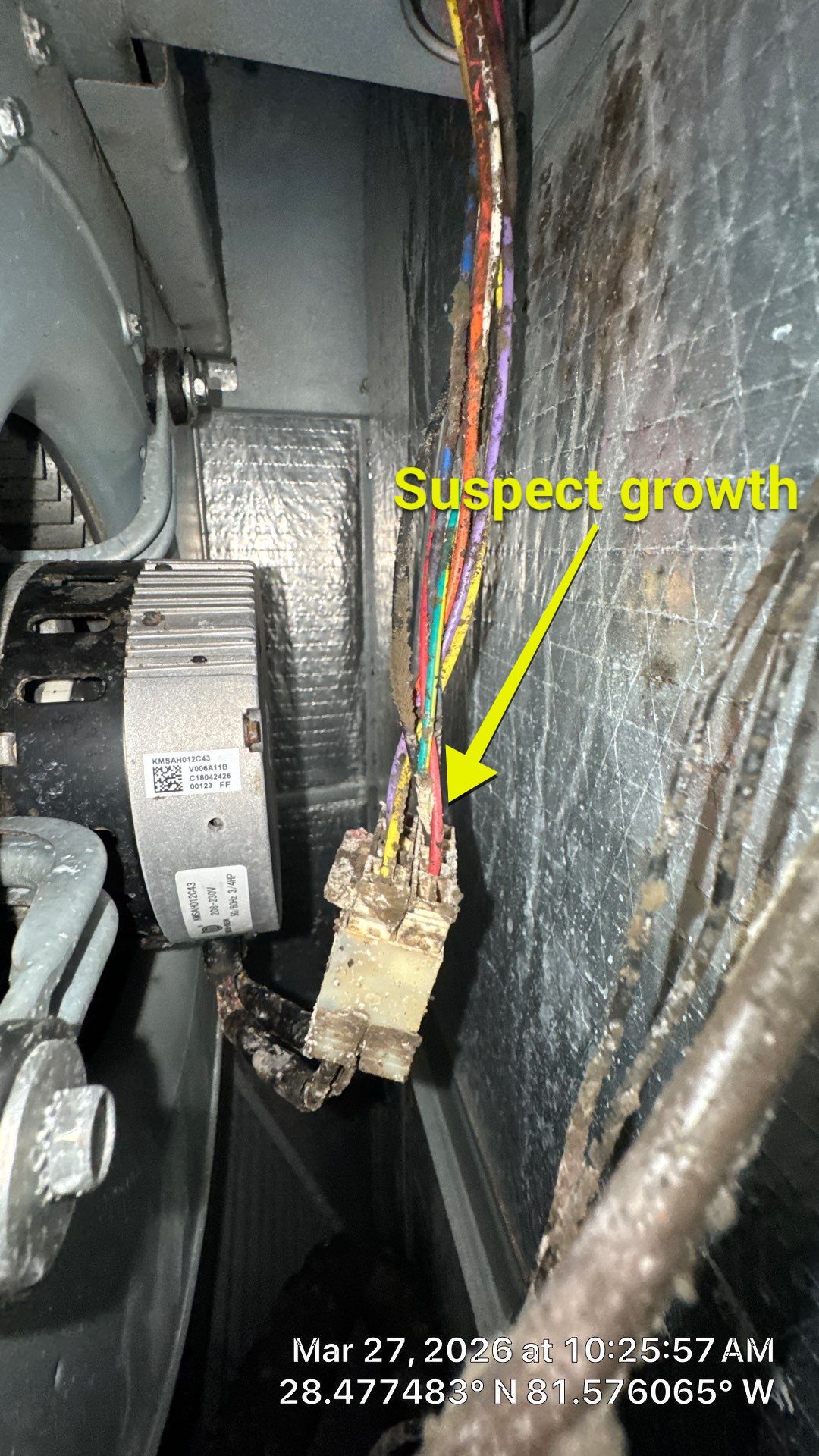 Air Duct Cleaning in Windermere by Hygienic Air, Inc