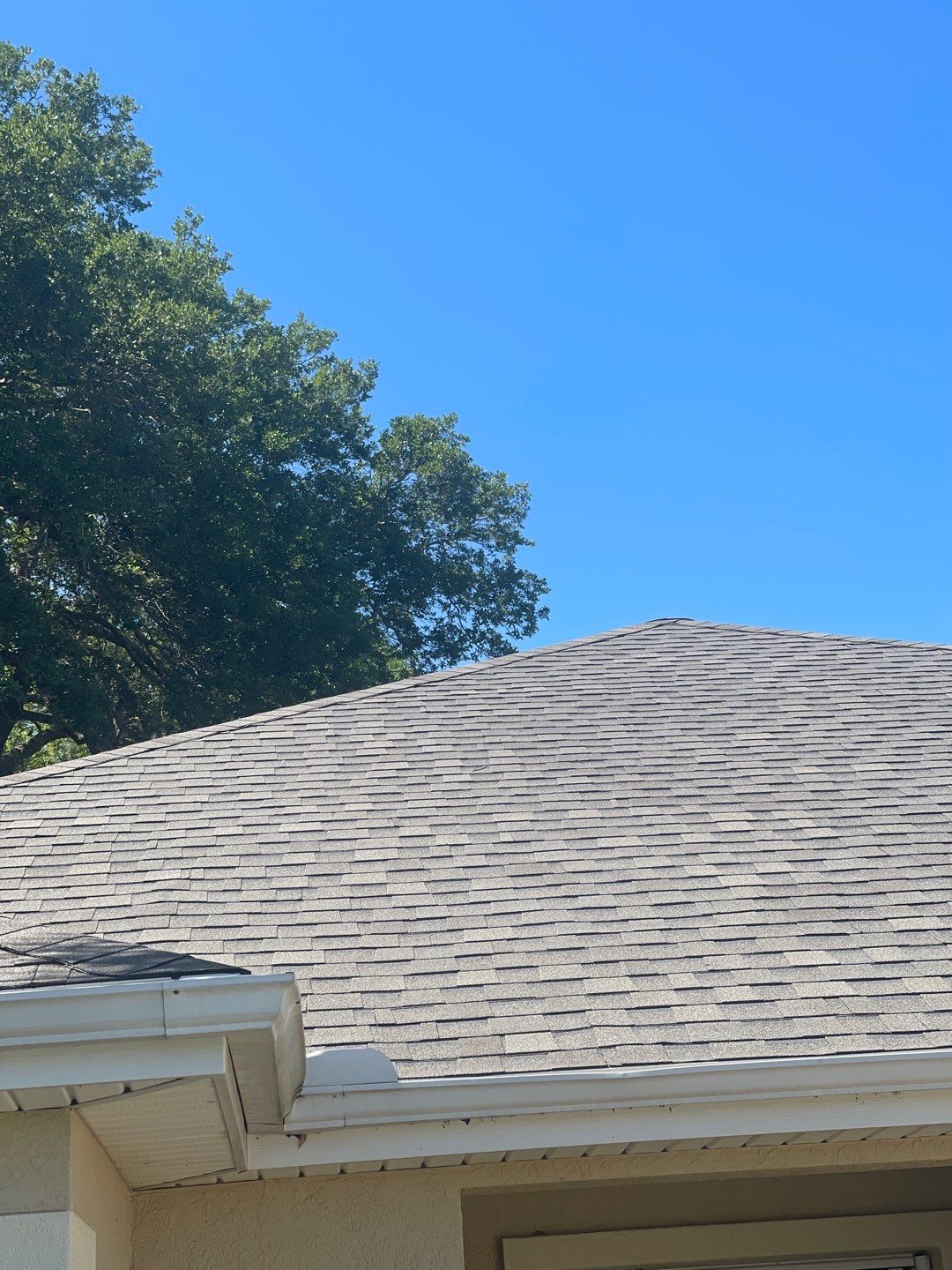 Shingle Reroof Replacement Summerfield FL by Pinnacle Roofing Group
