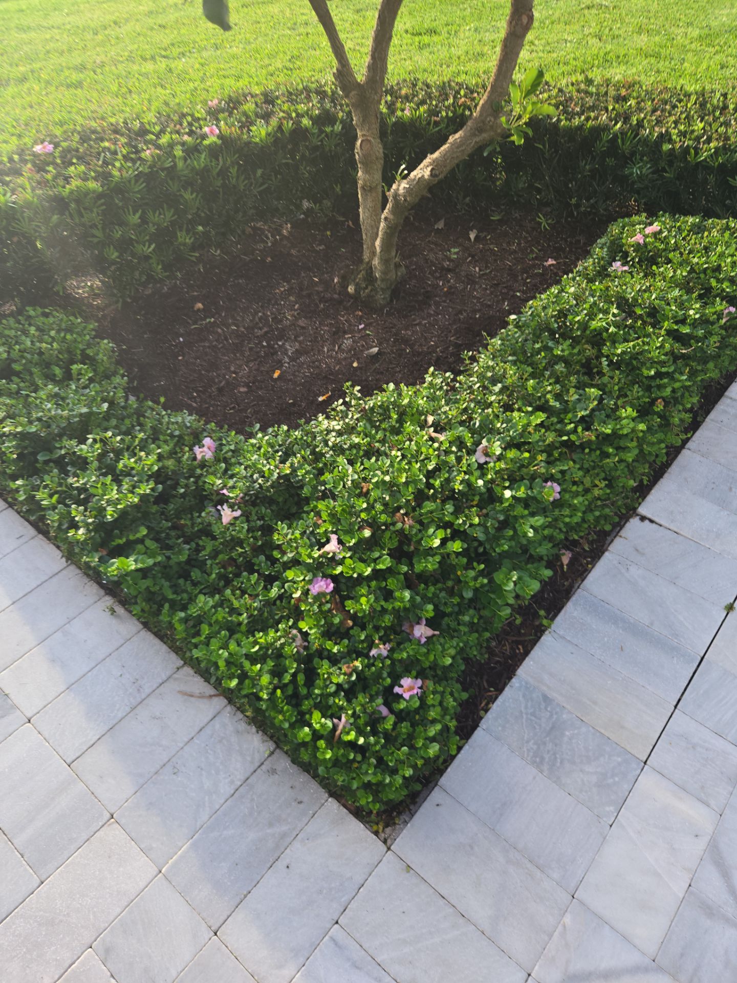 Hunter’s Club Revival – Precision Care Meets Palm City Prestige by Alpha Zeta Enterprises Inc