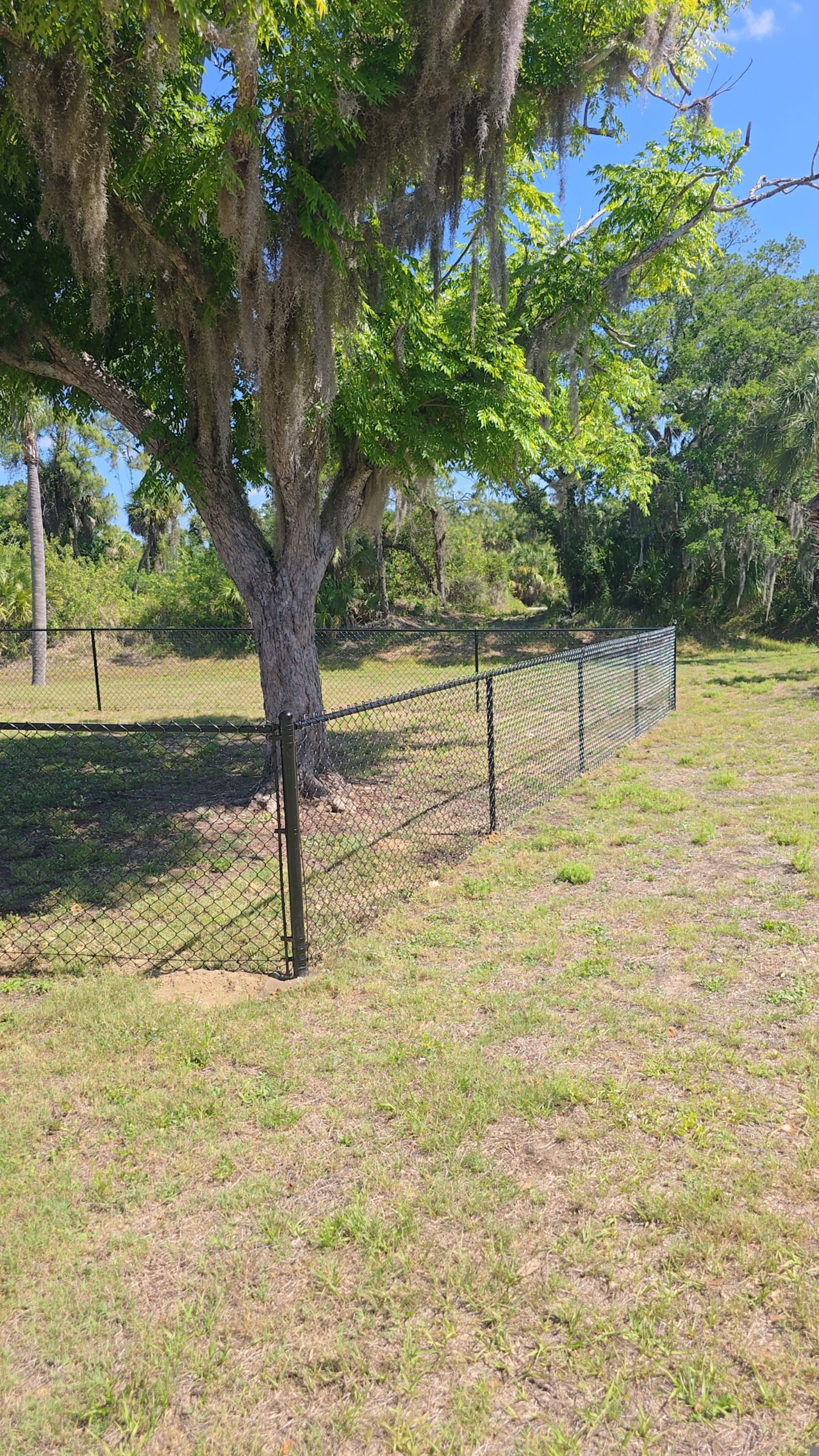 Chain Link Fence in North Port by True Fence LLC