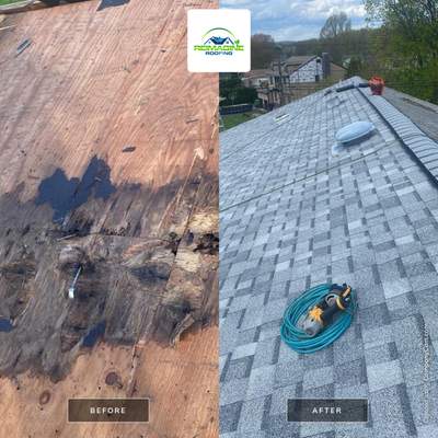 Silver Birch Shingles