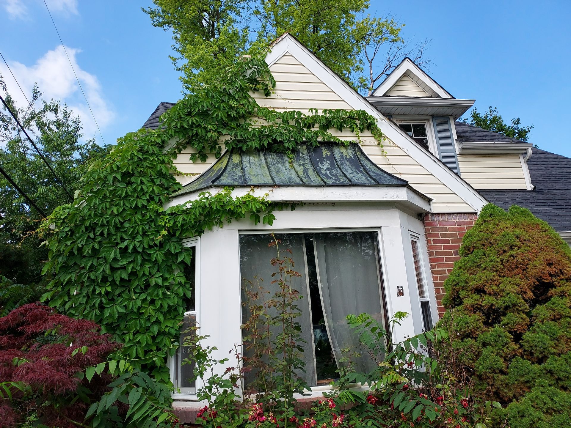 Jonathon Salmons Hail & Tree Damage Report by Constructive Project Management