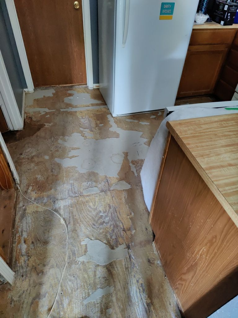 Water Damage  by Accountable Home Services