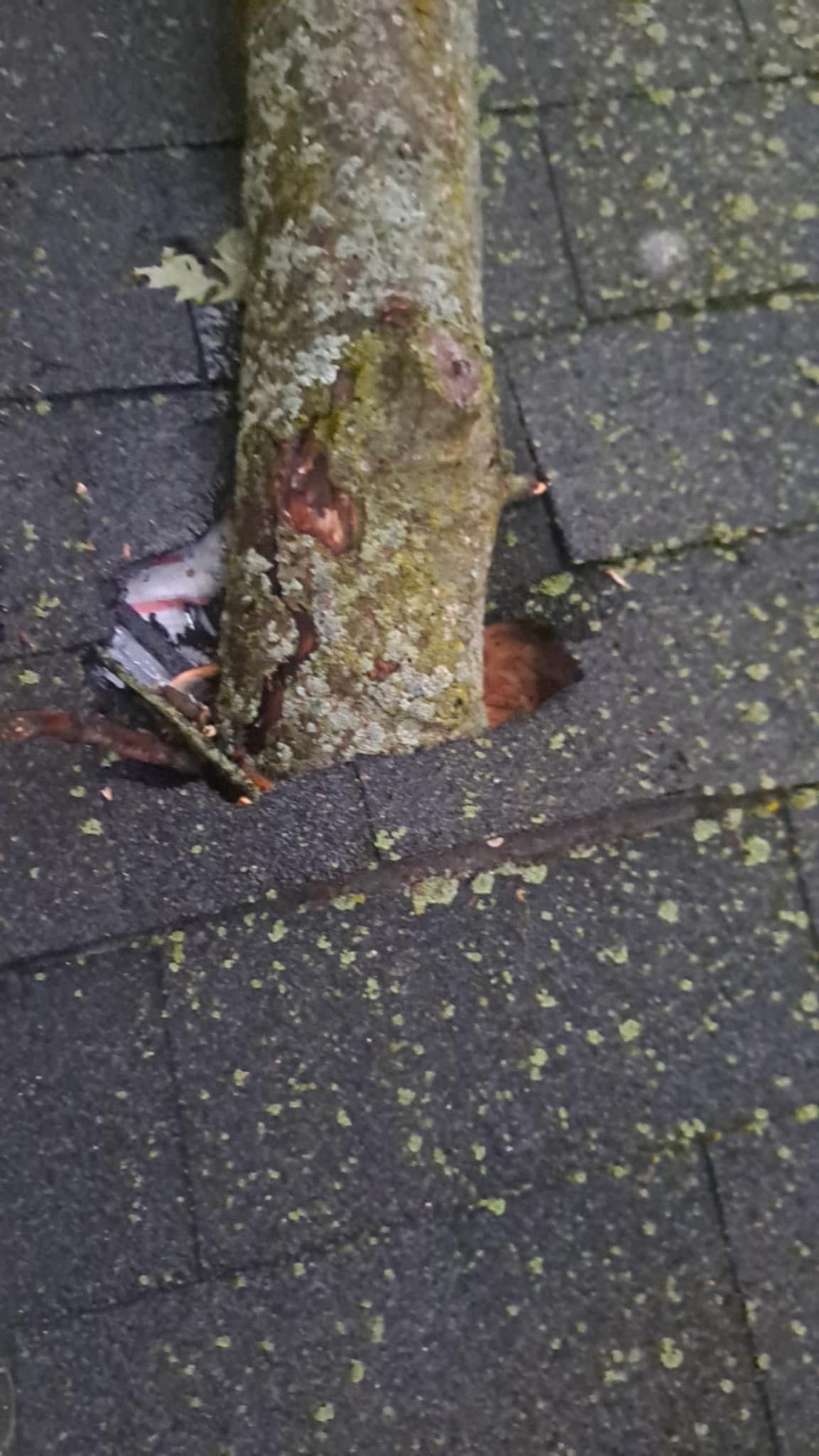 Jonathon Salmons Hail & Tree Damage Report by Constructive Project Management